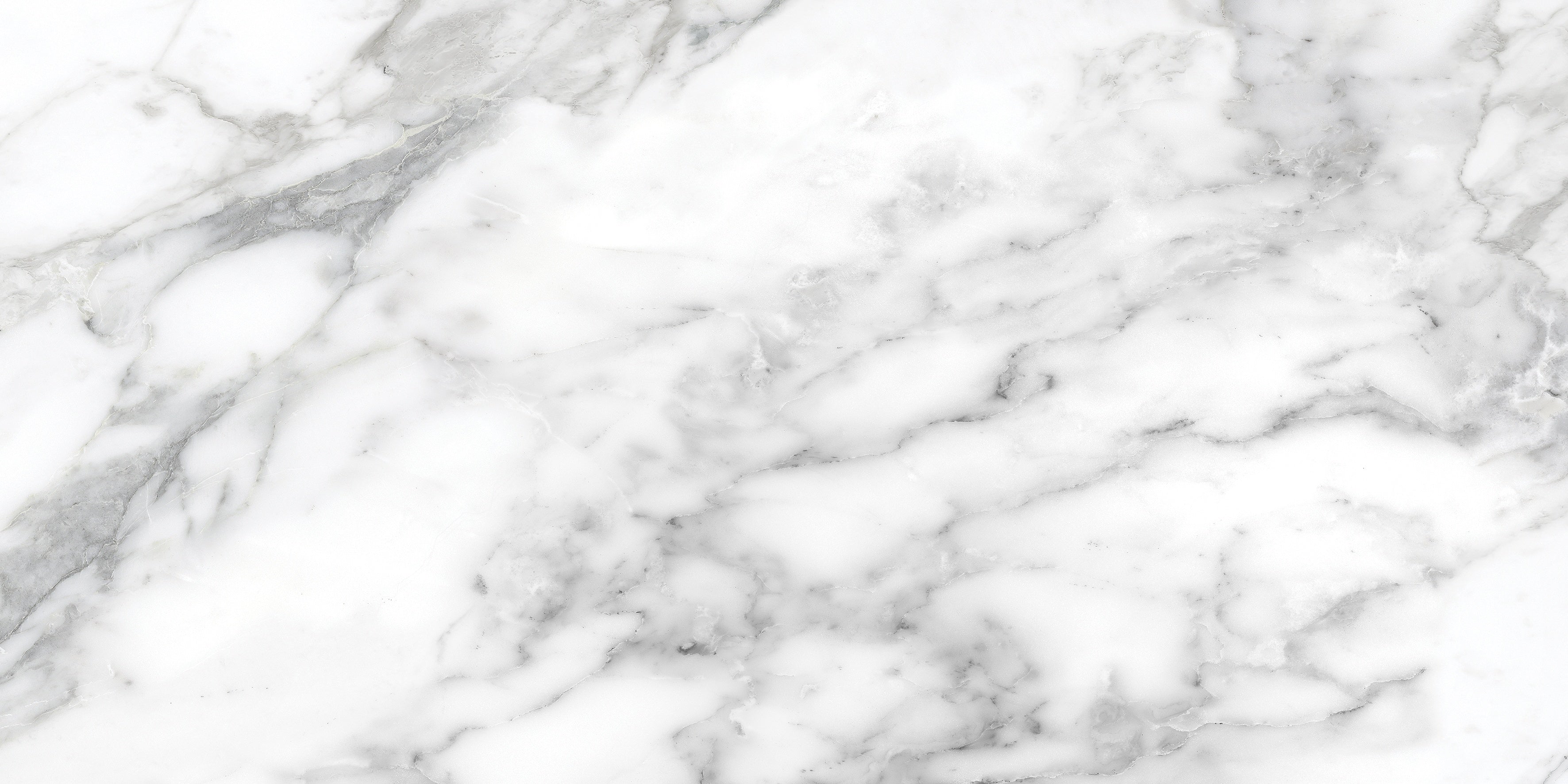 LA MARCA: Arabescato Porcelain Field Tile (12"×24"×11/32" | Honed | Rectified)