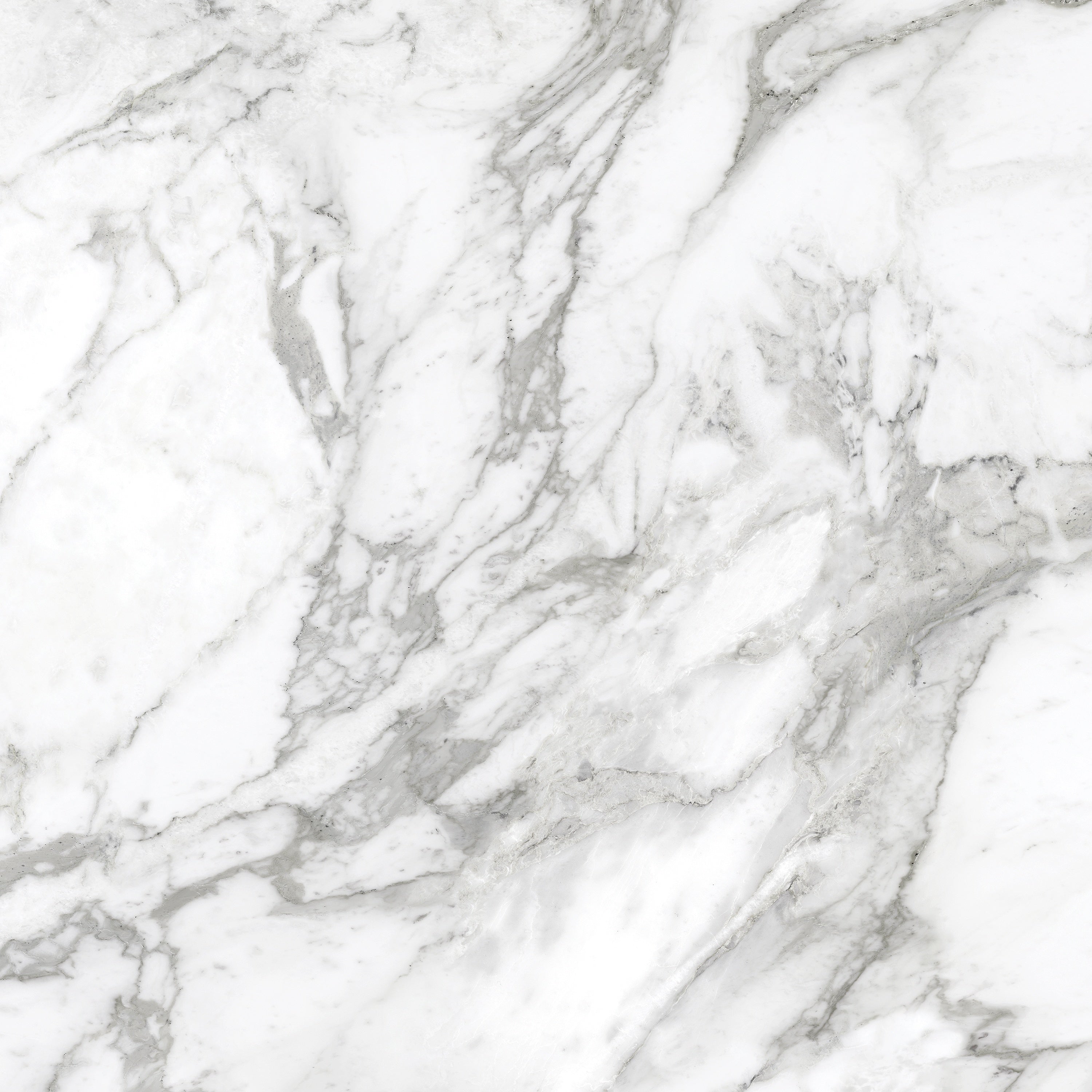LA MARCA: Arabescato Porcelain Field Tile (24"×11/32" | Honed | Rectified)