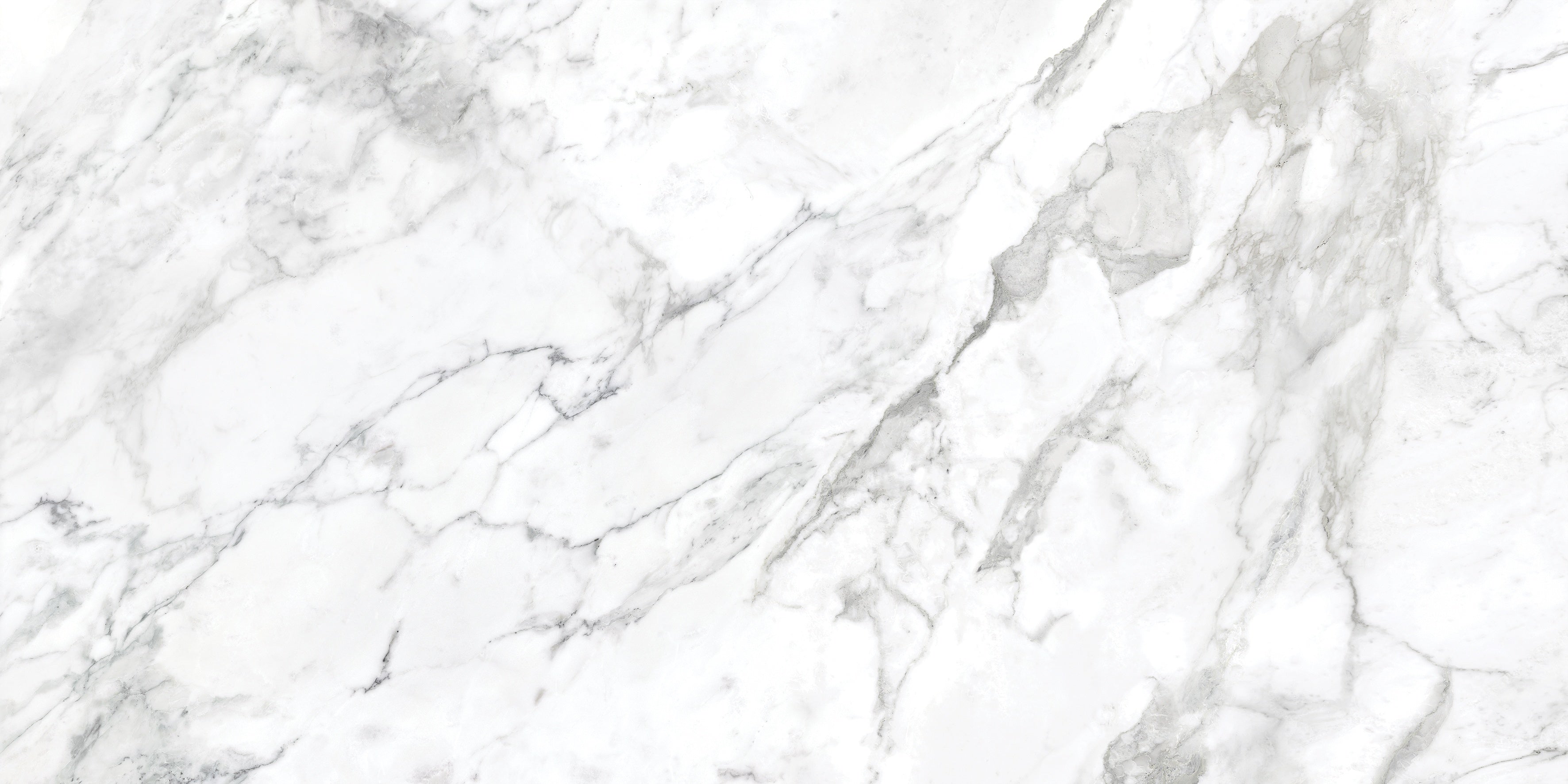 LA MARCA: Arabescato Porcelain Field Tile (24"×48"×11/32" | Honed | Rectified)