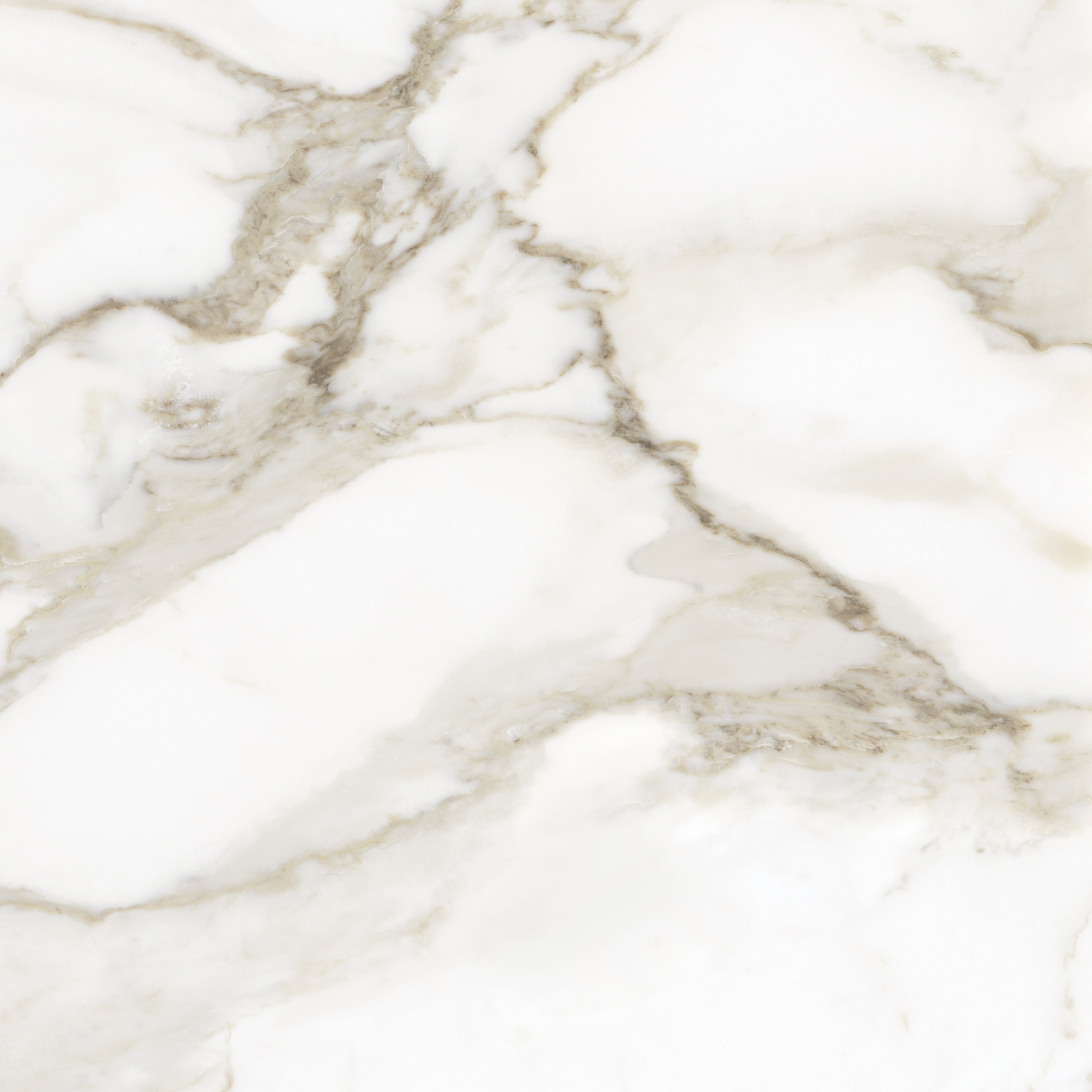 LA MARCA: Calacatta Paonazzo Porcelain Field Tile (24"×11/32" | Honed | Rectified)