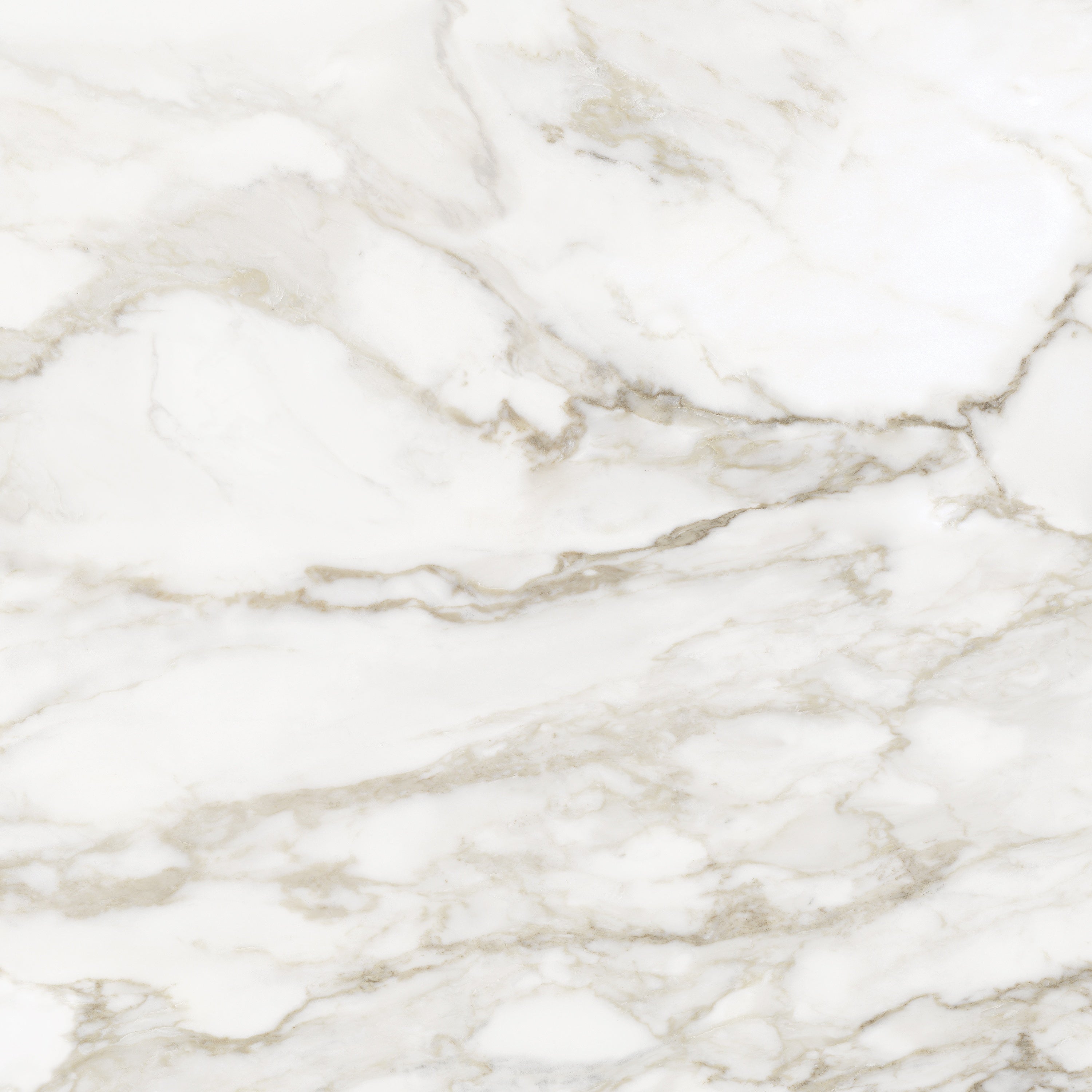 LA MARCA: Calacatta Paonazzo Porcelain Field Tile (32"×11/32" | Honed | Rectified)