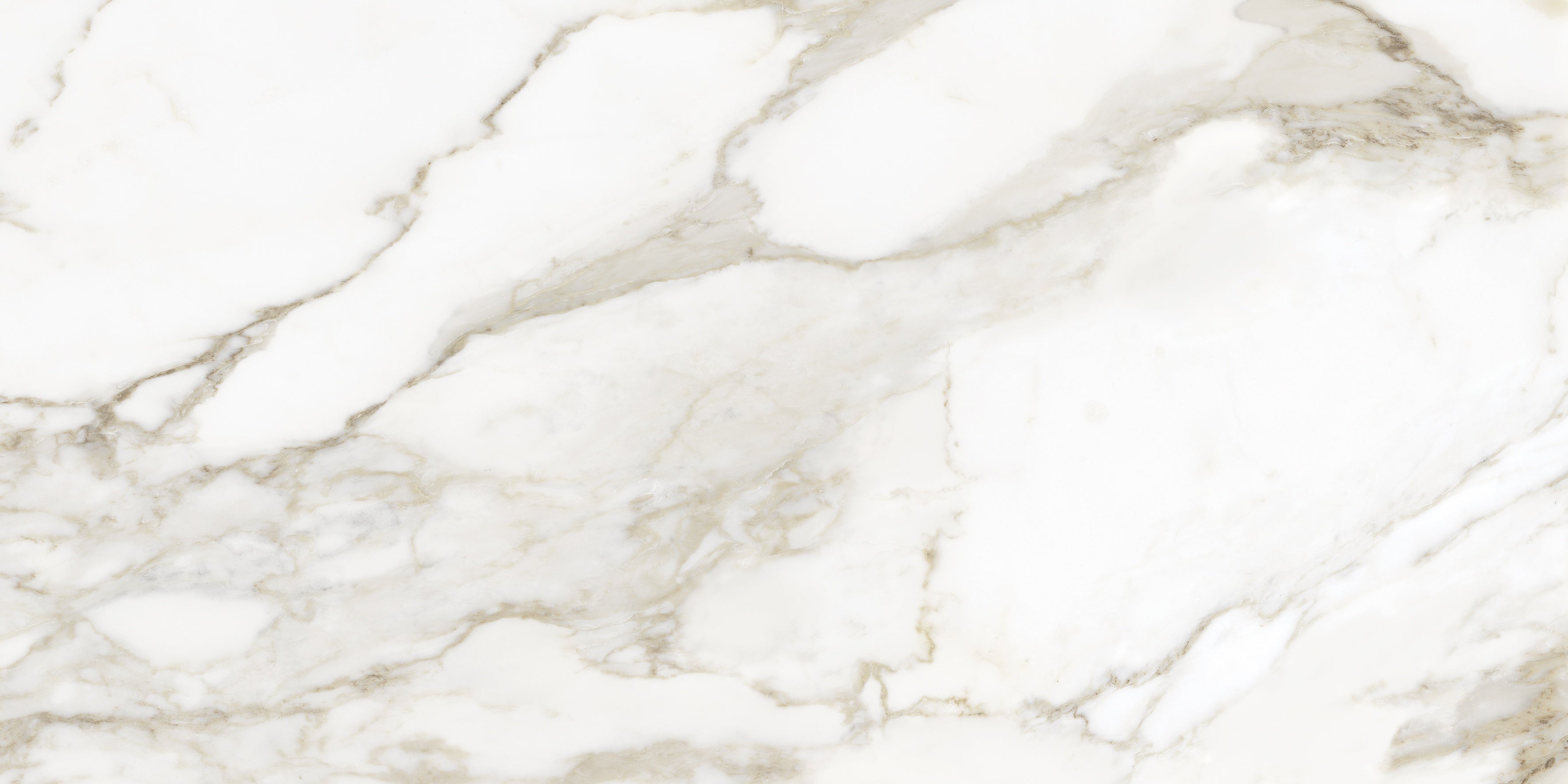 La Marca Calacatta Paonazzo Porcelain Field Tile | 24