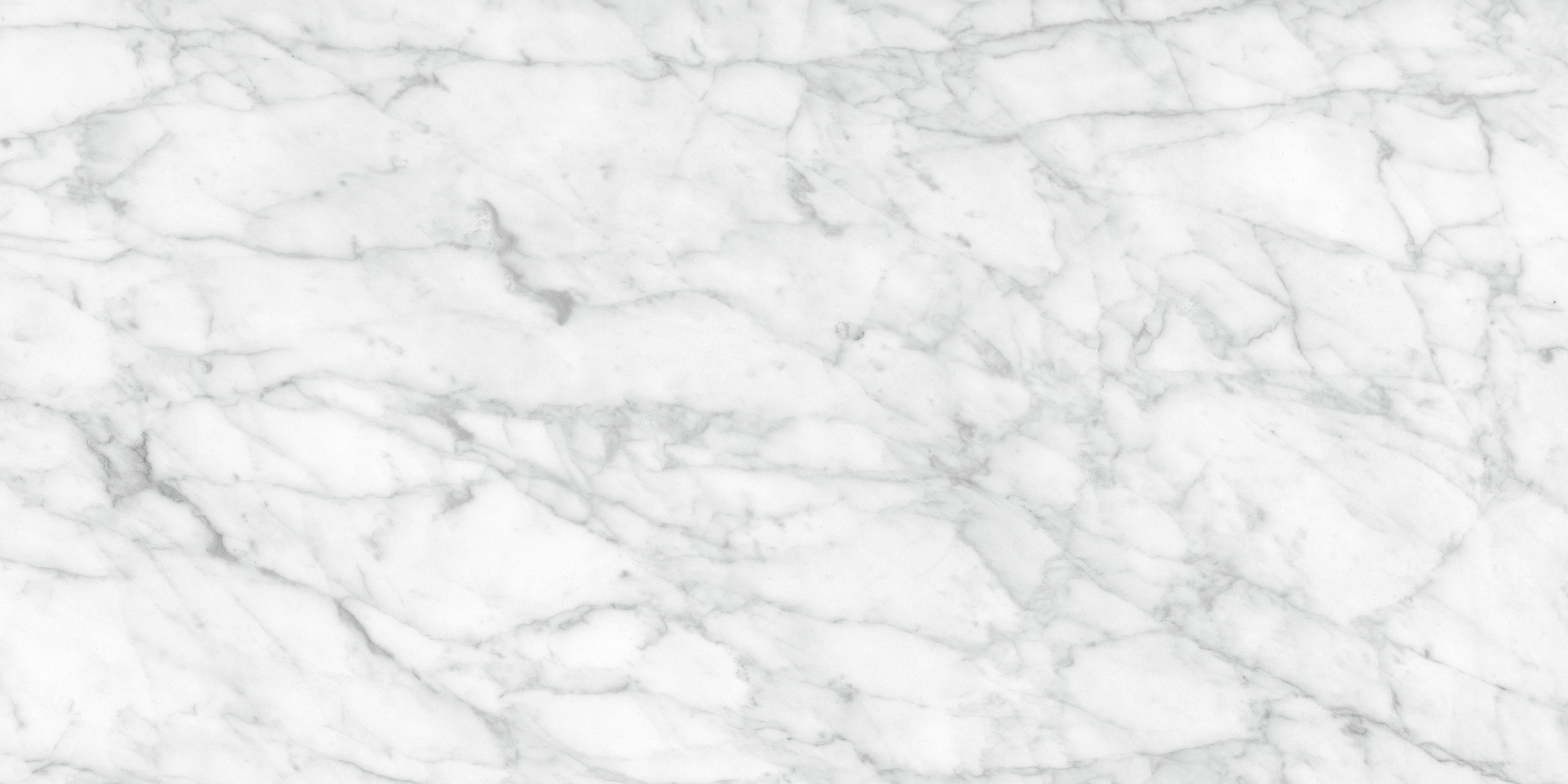LA MARCA: Carrara Gioia Porcelain Field Tile (12"×24"×11/32" | Honed | Rectified)