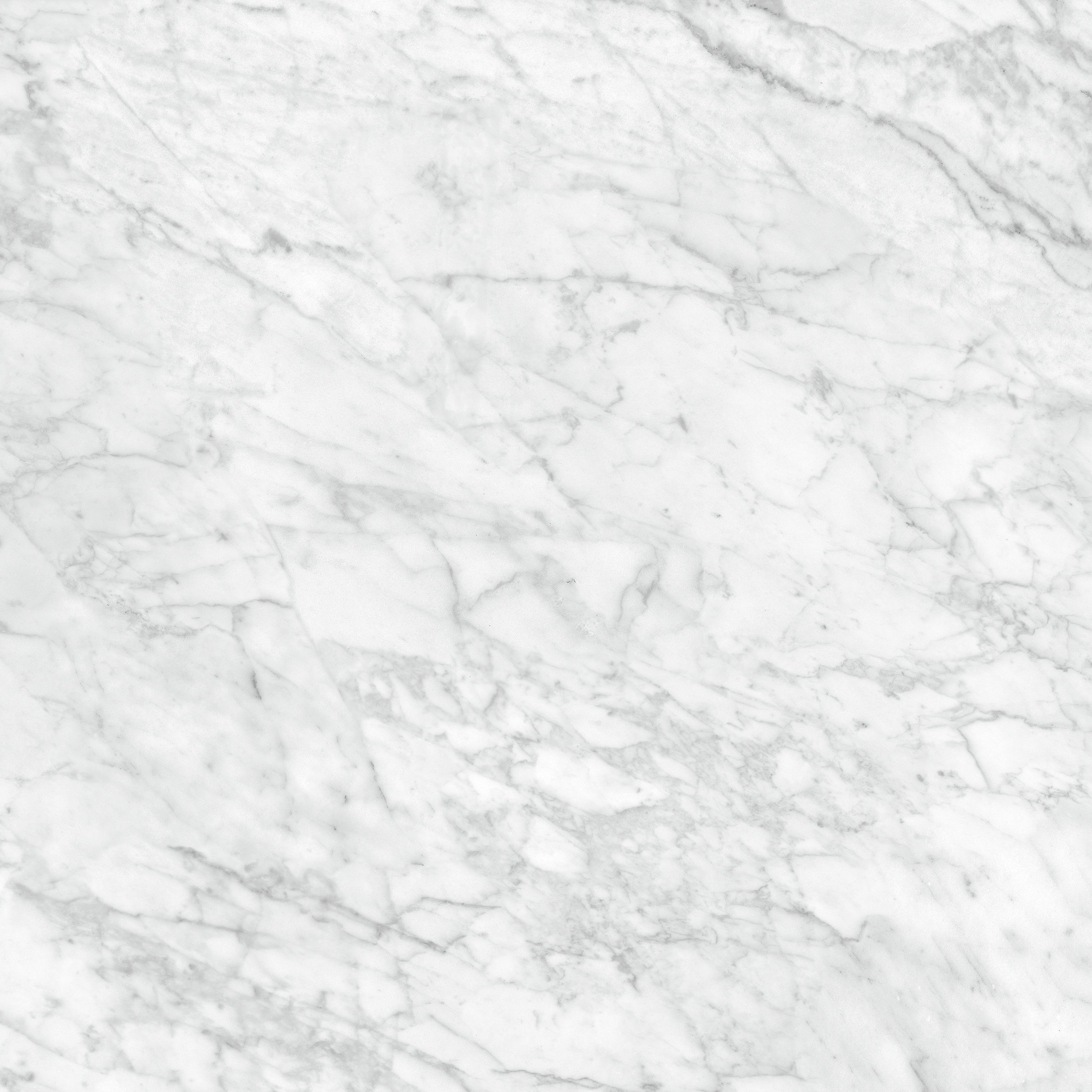 LA MARCA: Carrara Gioia Porcelain Field Tile (24"×11/32" | Honed | Rectified)