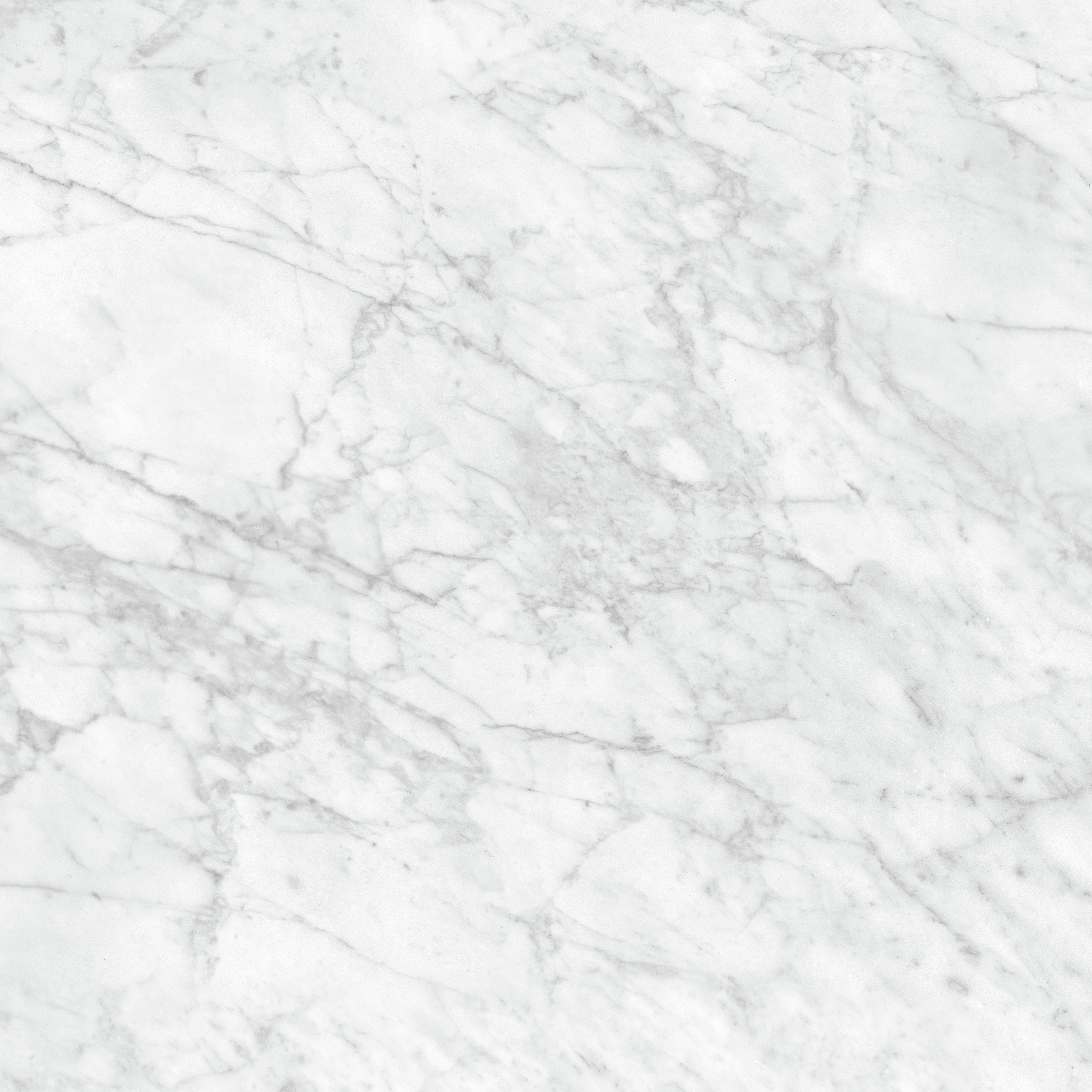 La Marca Statuario Nuovo porcelain trim by Anatolia, product image 1, 3"×12"×11/32" size. Premium porcelain for floors and walls.