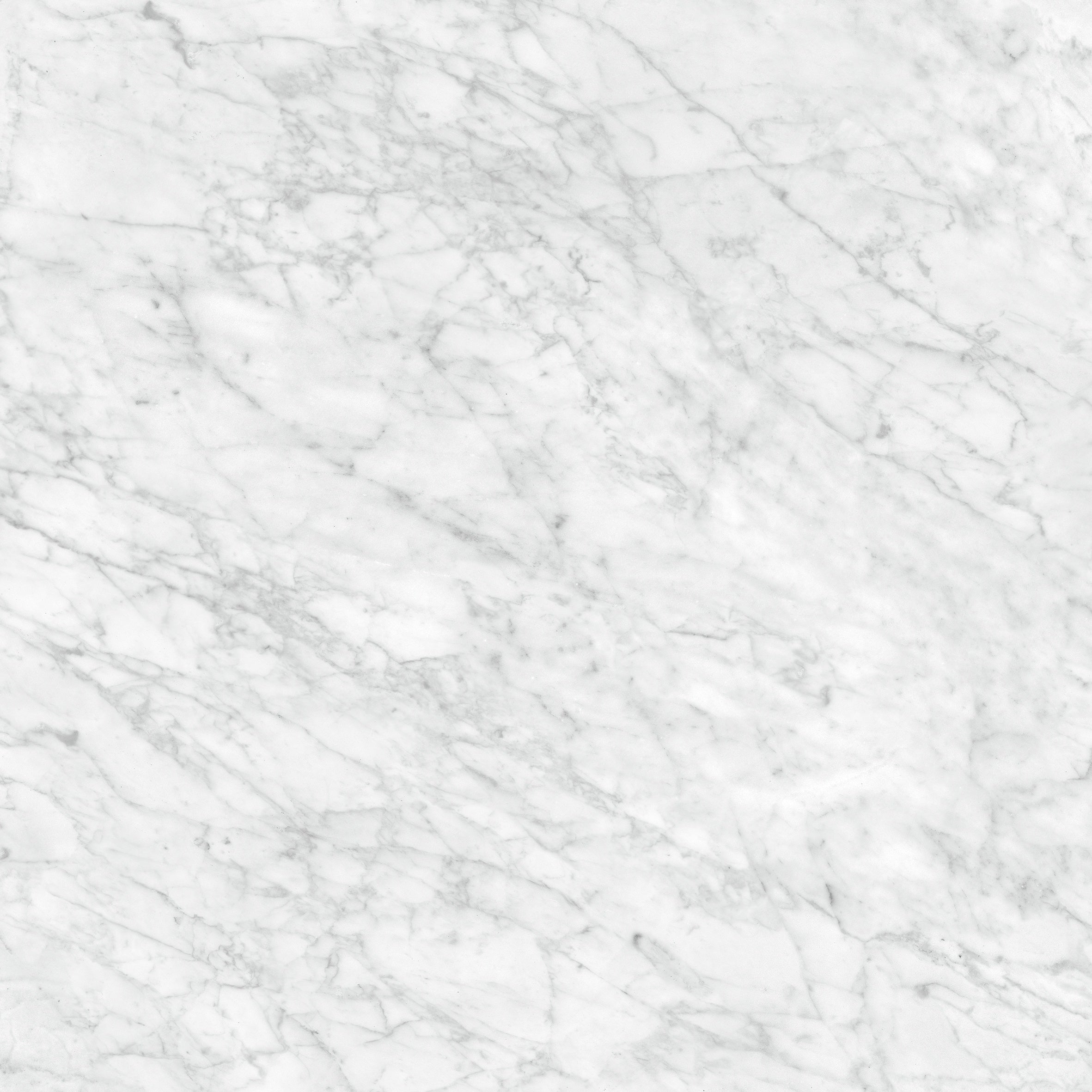 La Marca Carrara Gioia porcelain field tile by Anatolia, top-down product view, 32"×11/32" size. Indian porcelain for floors and walls.