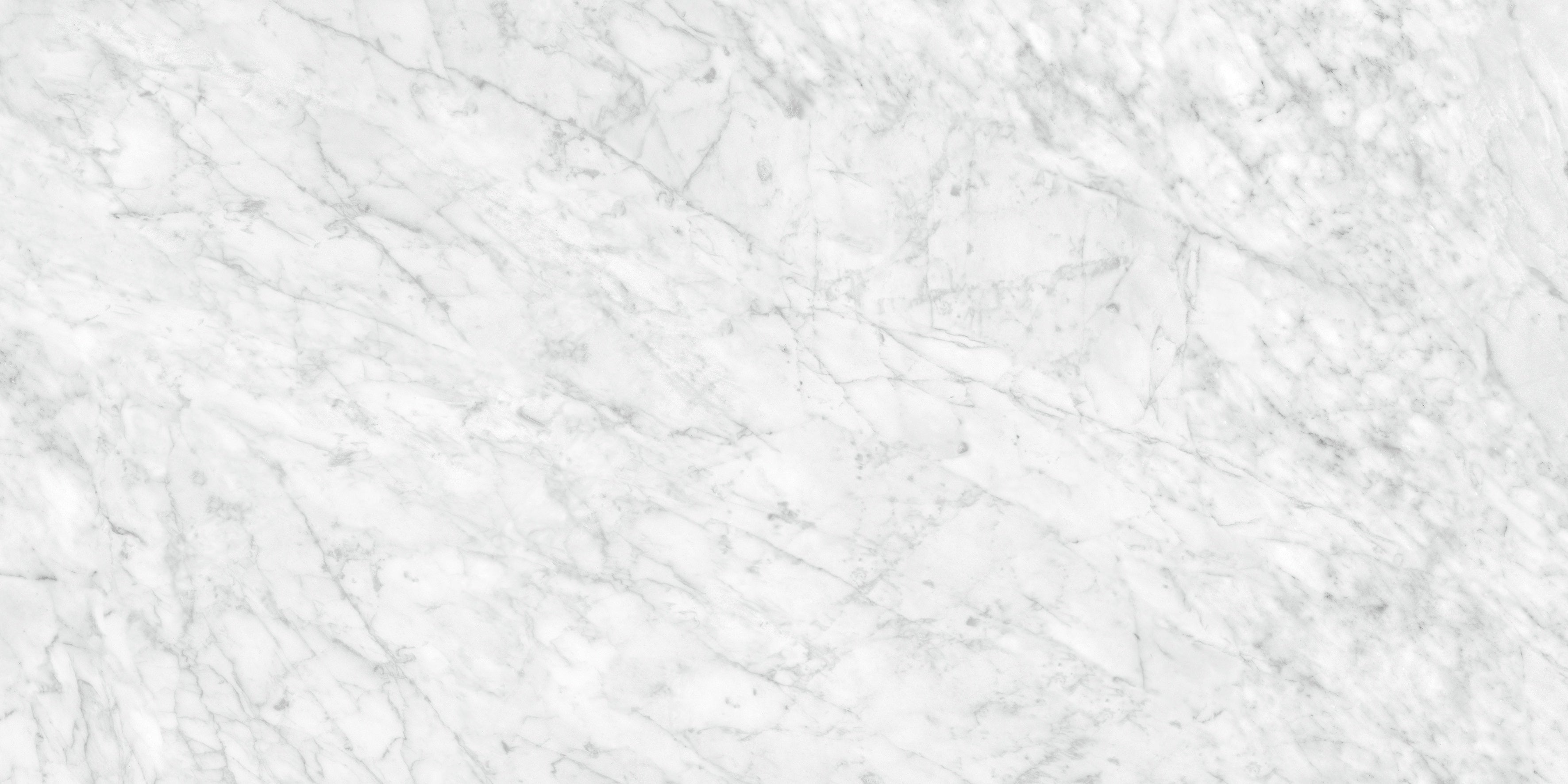 LA MARCA: Carrara Gioia Porcelain Field Tile (24"×48"×11/32" | Honed | Rectified)