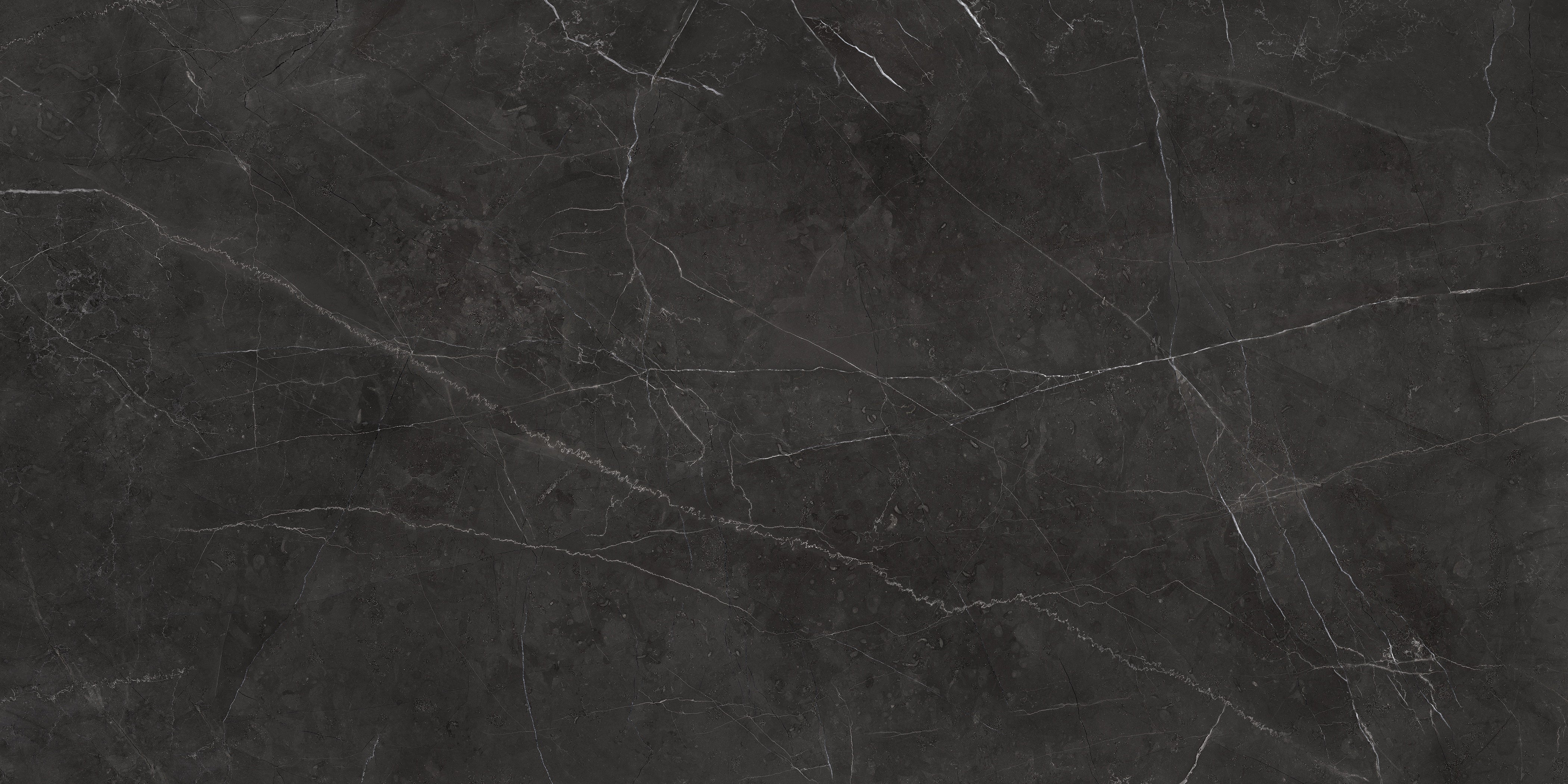 LA MARCA: Nero Venato Porcelain Field Tile (24"×48"×11/32" | Polished | Rectified)