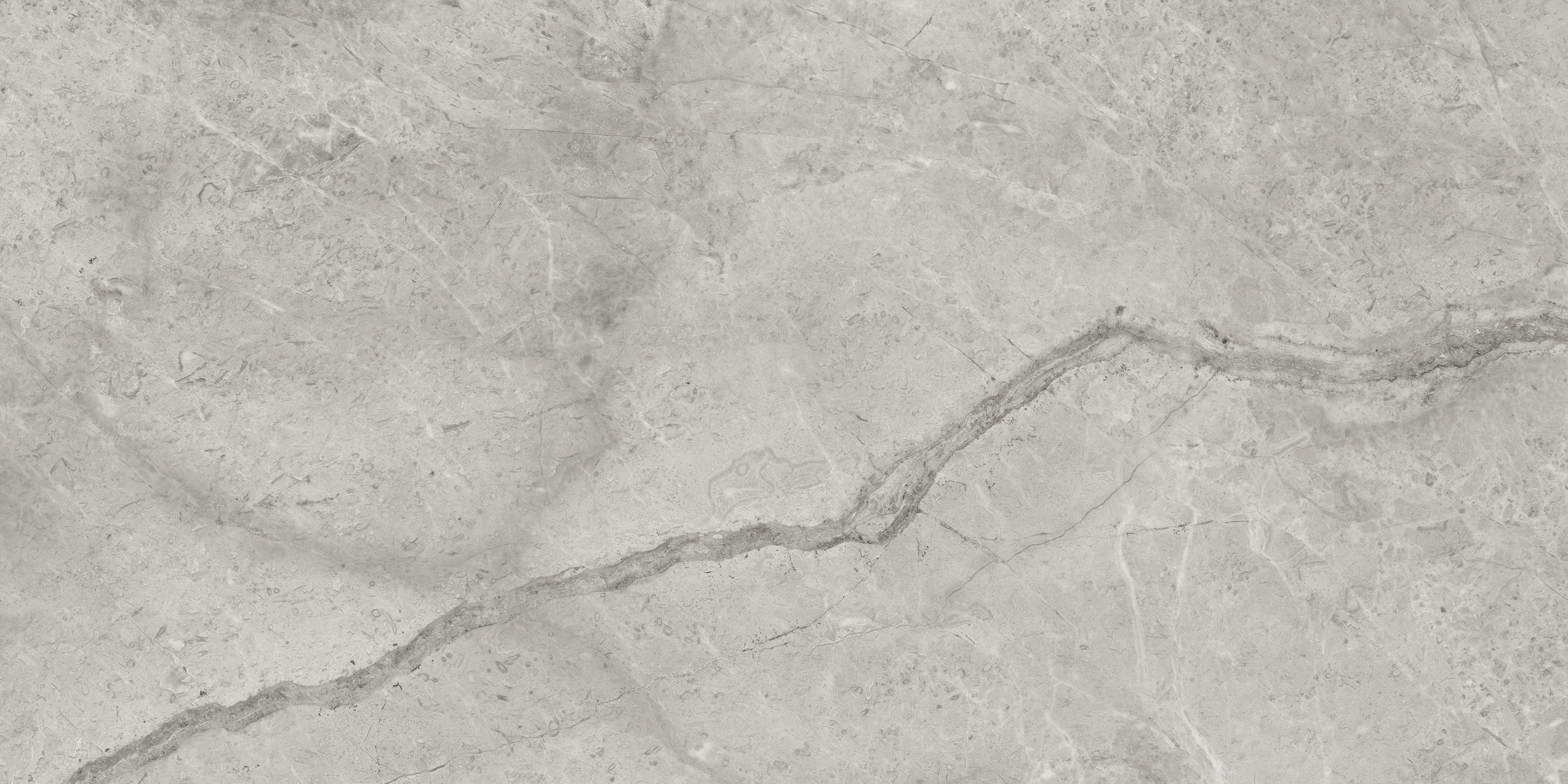 LA MARCA: Paradiso Argento Porcelain Field Tile (12"×24"×11/32" | Honed | Rectified)