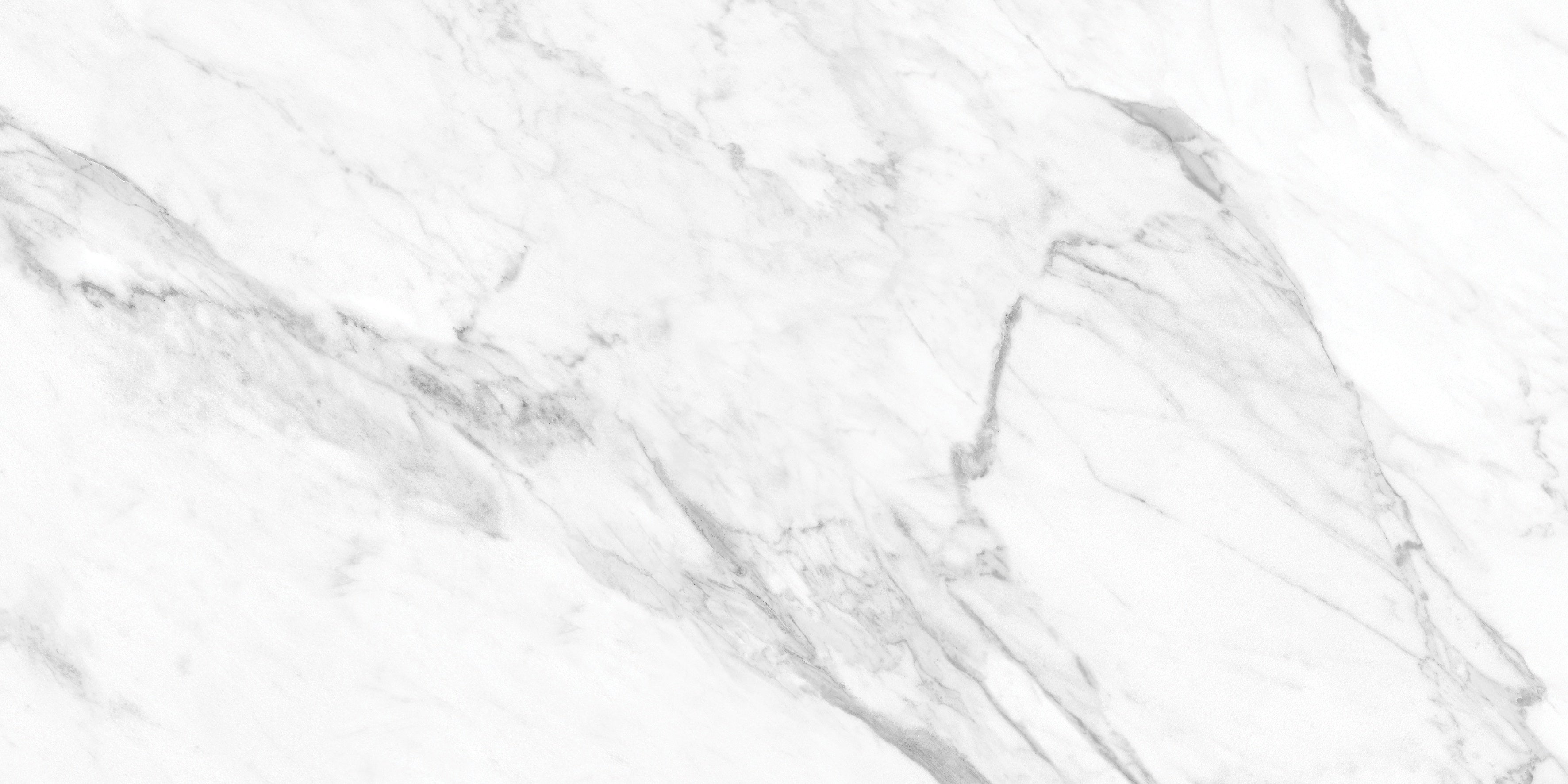 LA MARCA: Statuarietto Porcelain Field Tile (12"×24"×11/32" | Honed | Rectified)