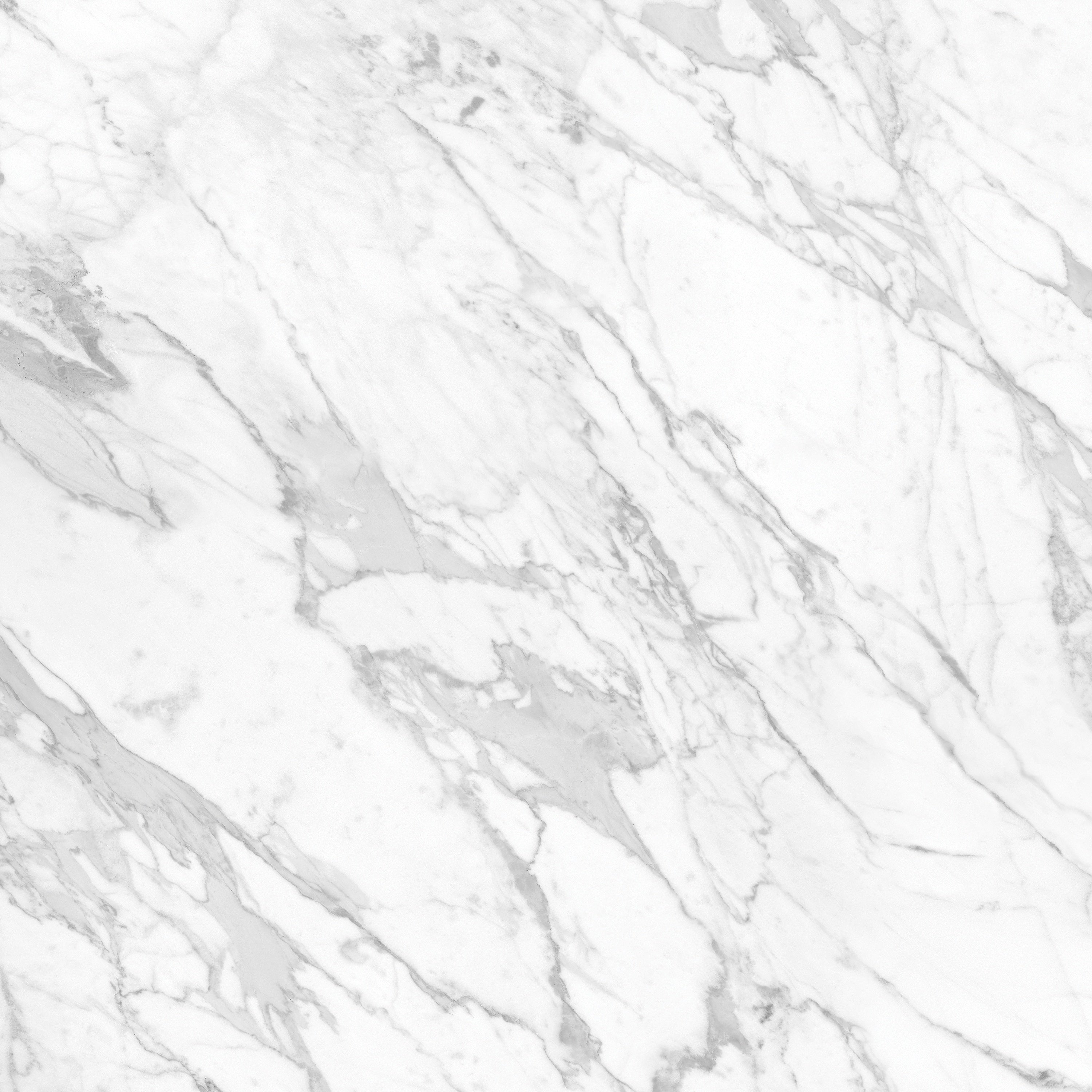 LA MARCA: Statuarietto Porcelain Field Tile (24"×11/32" | Honed | Rectified)