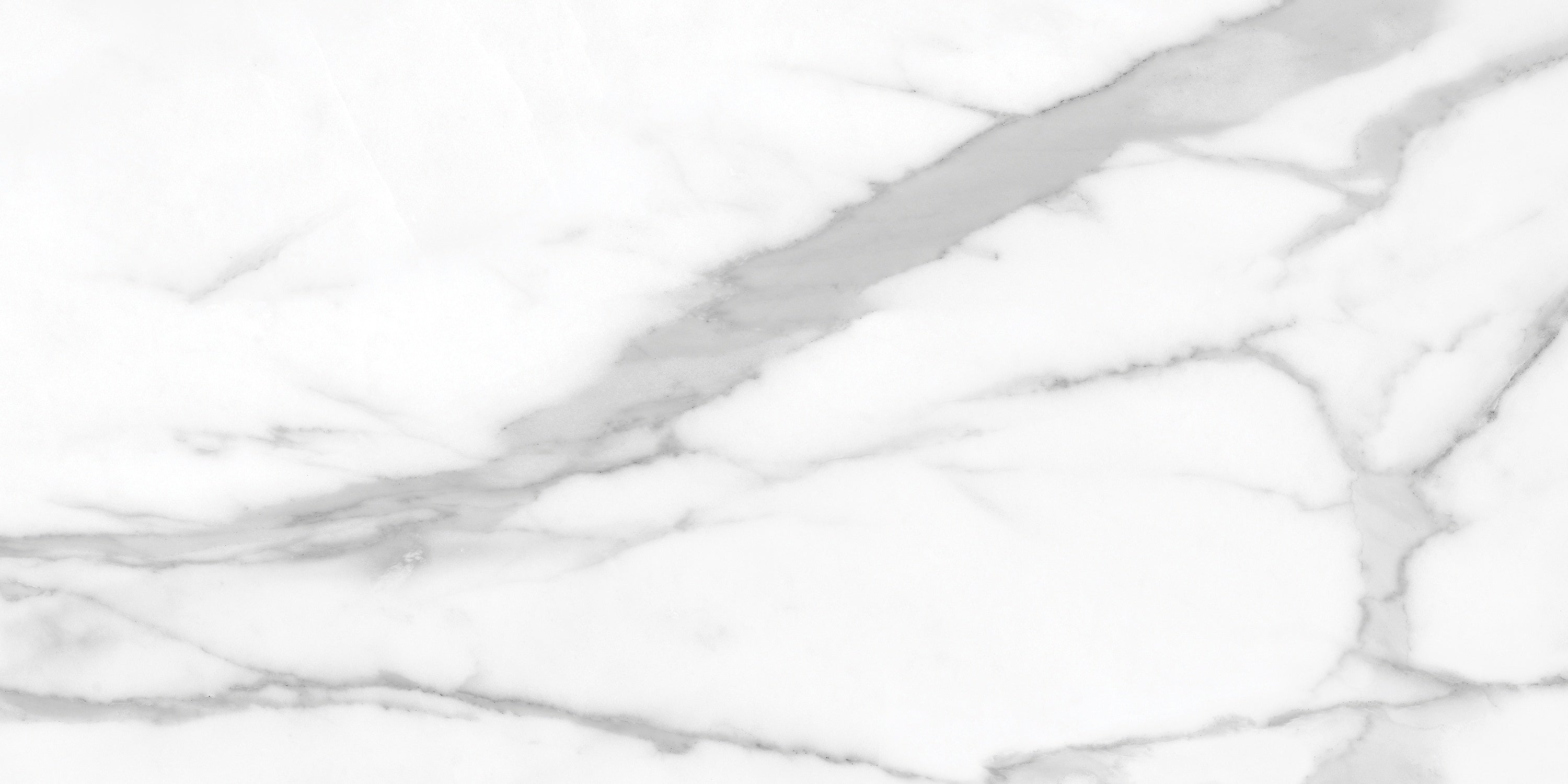 LA MARCA: Statuario Nuovo Porcelain Field Tile (12"×24"×11/32" | Honed | Rectified)