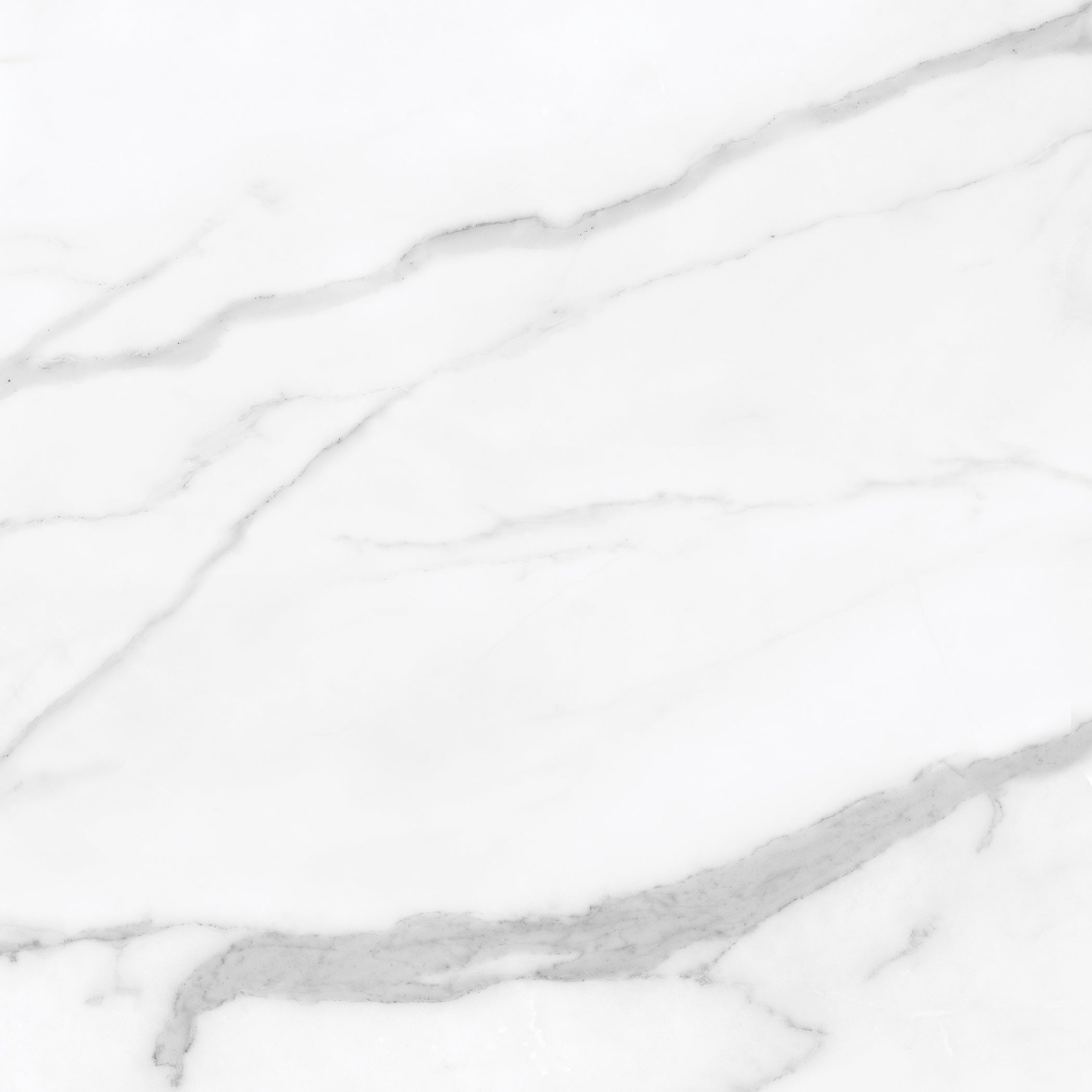 LA MARCA: Statuario Nuovo Porcelain Field Tile (24"×11/32" | Honed | Rectified)