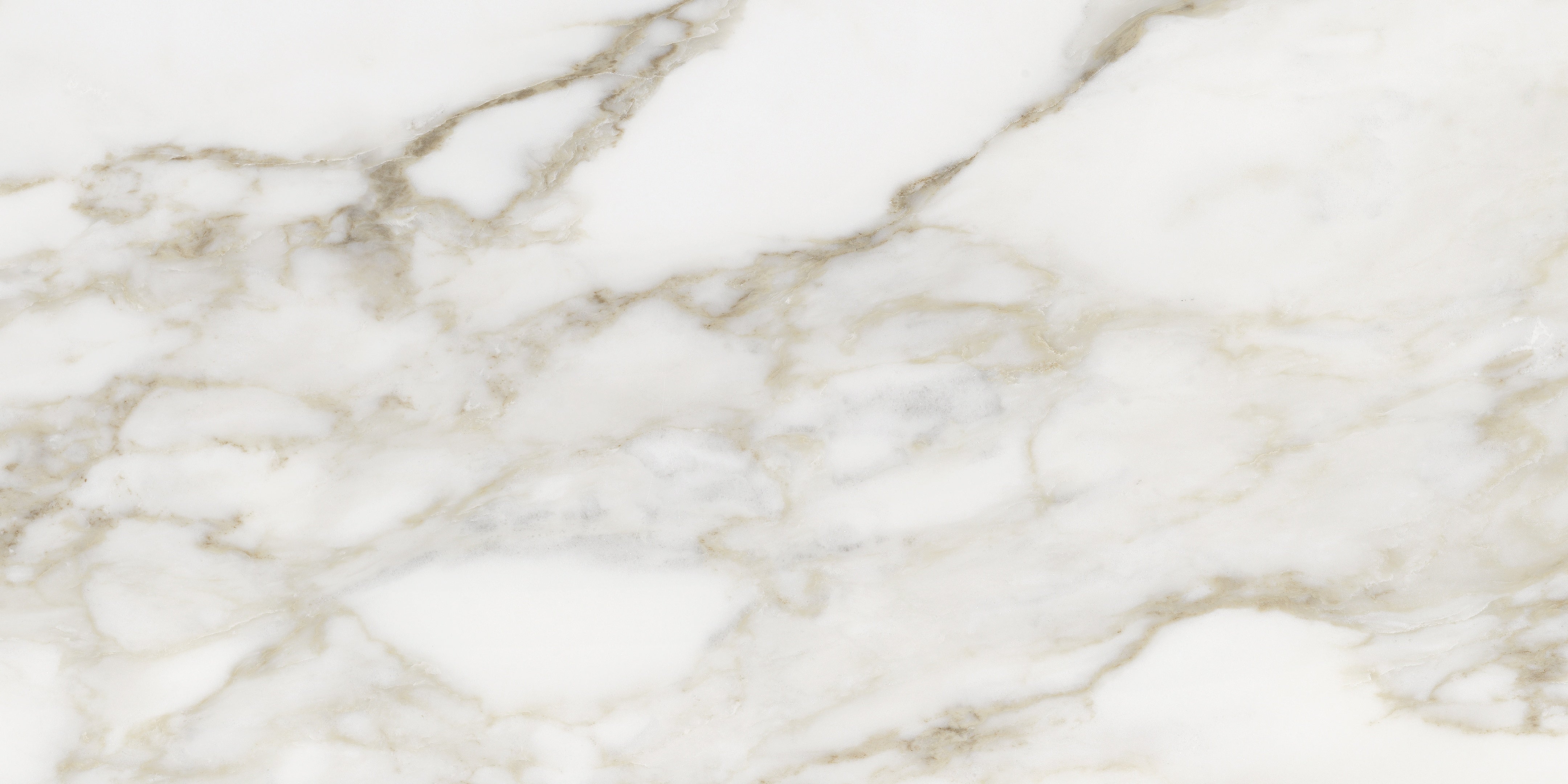 Lumino Calacatta porcelain field tile by Anatolia, top-down product view, 12"×24"×11/32" size. Turkish porcelain for floors and walls.