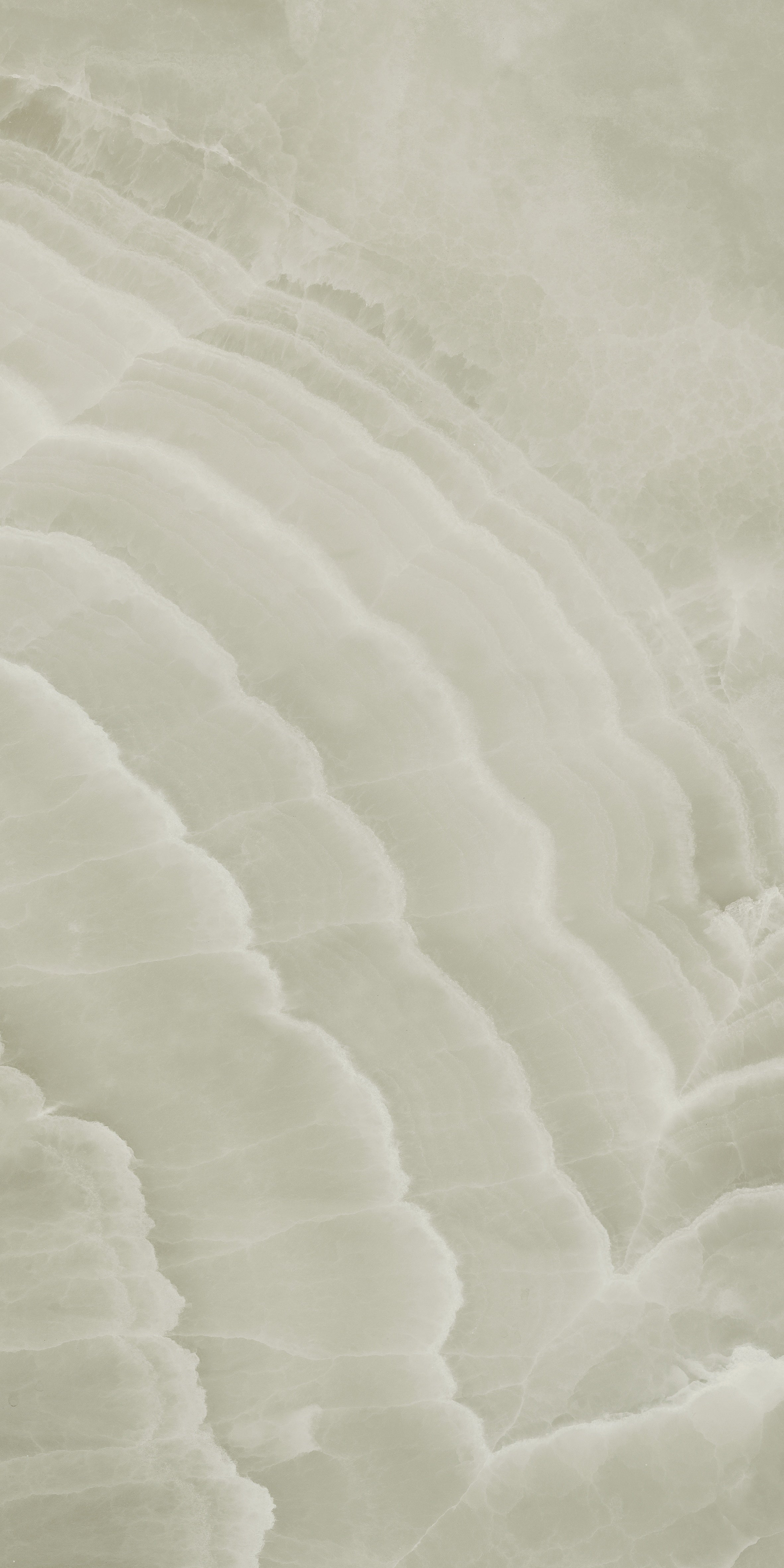 Lustra Onyx Sage porcelain field tile by Anatolia, top-down product view, 24"×48"×11/32" size. Turkish porcelain for floors and walls.