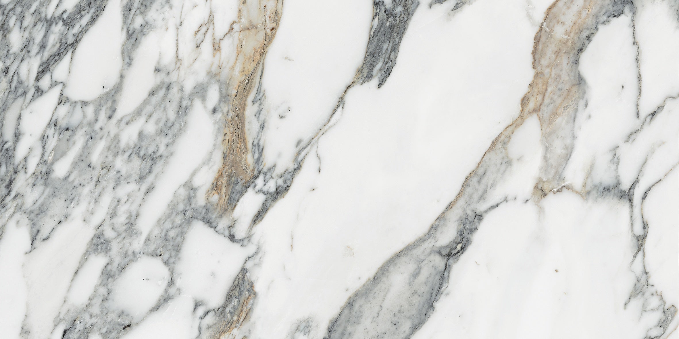 Majesto Arabescato Corchia porcelain field tile by Anatolia, top-down product view, 12"×24"×11/32" size. Turkish porcelain for floors and walls.