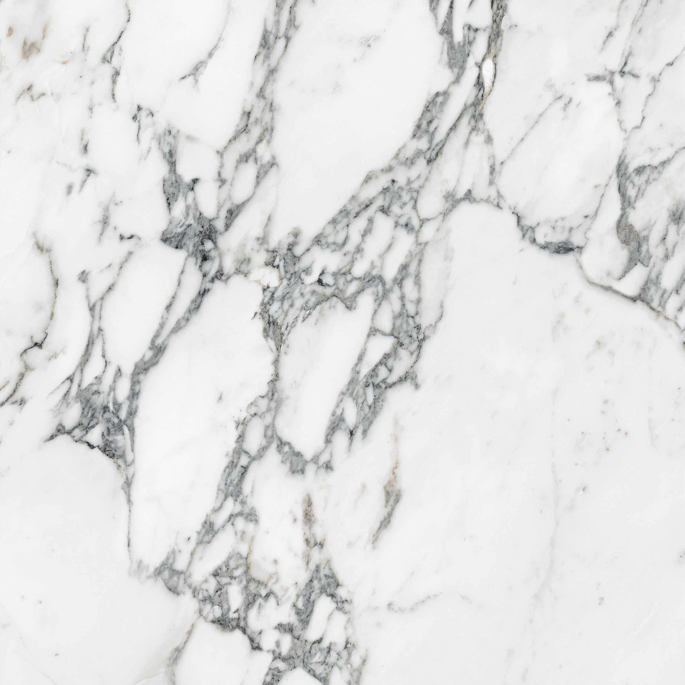 Majesto Arabescato Corchia porcelain field tile by Anatolia, top-down product view, 24"×11/32" size. Turkish porcelain for floors and walls.