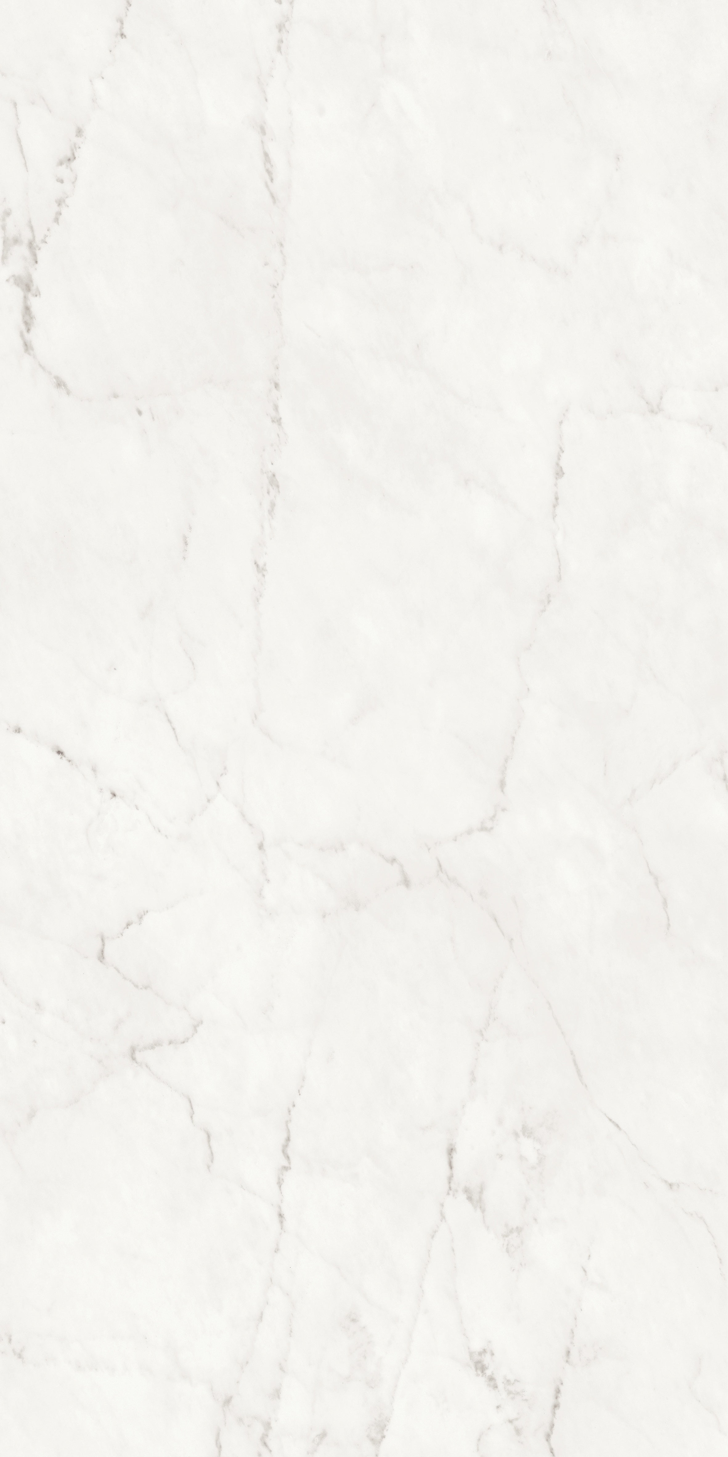 Majesto Ariel Bianco porcelain field tile by Anatolia, top-down product view, 24"×48"×11/32" size. Turkish porcelain for floors and walls.