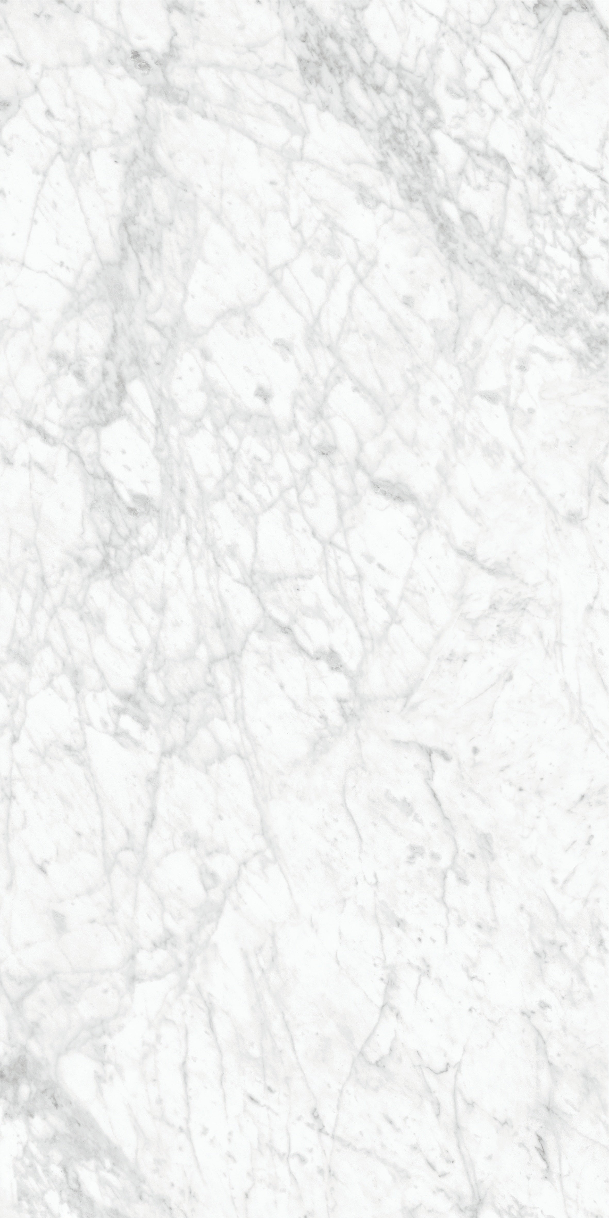 Majesto Bianco Gioia porcelain field tile by Anatolia, top-down product view, 24"×48"×11/32" size. Turkish porcelain for floors and walls.