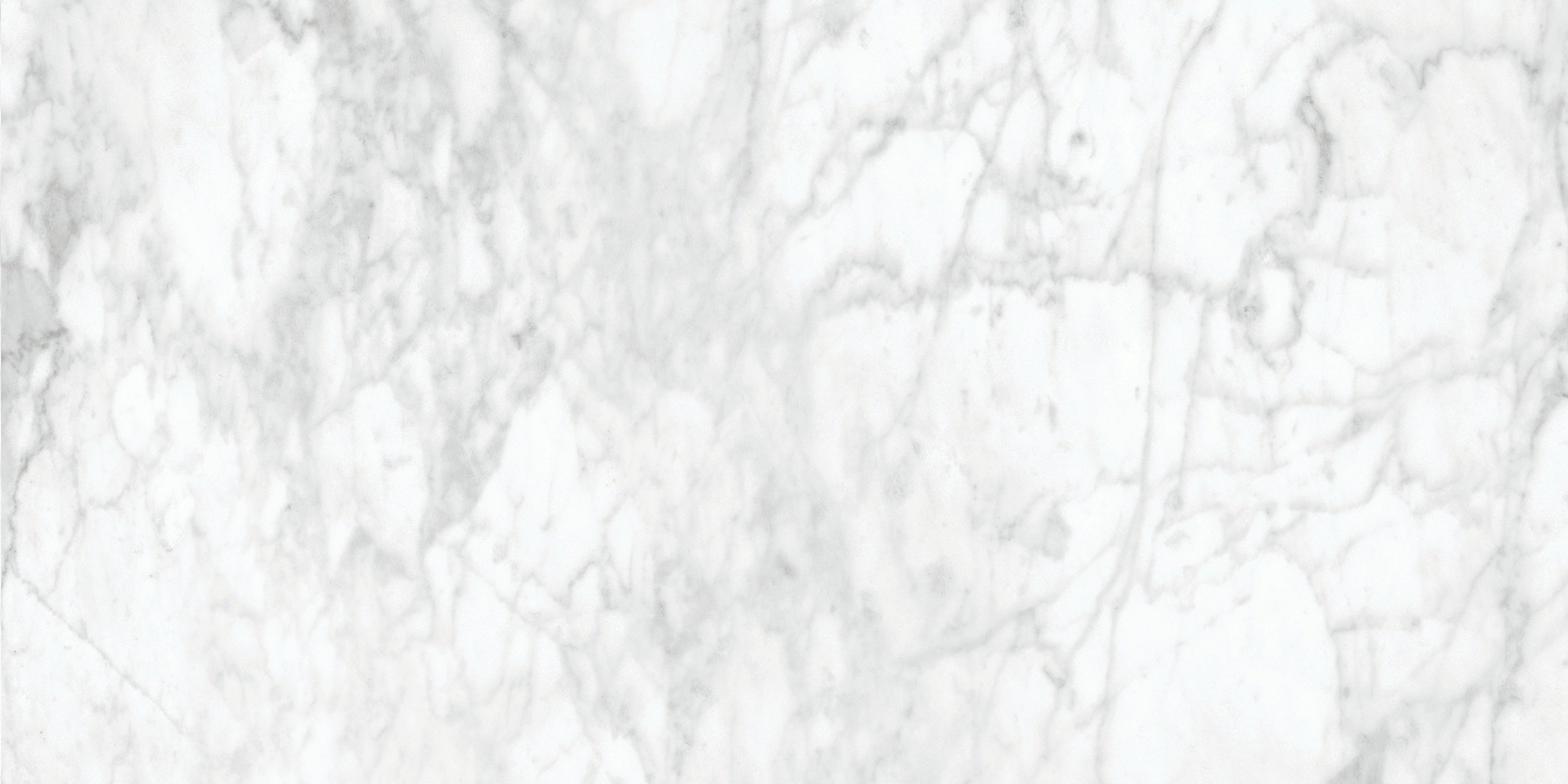 Majesto Bianco Gioia porcelain field tile by Anatolia, top-down product view, 12"×24"×11/32" size. Turkish porcelain for floors and walls.