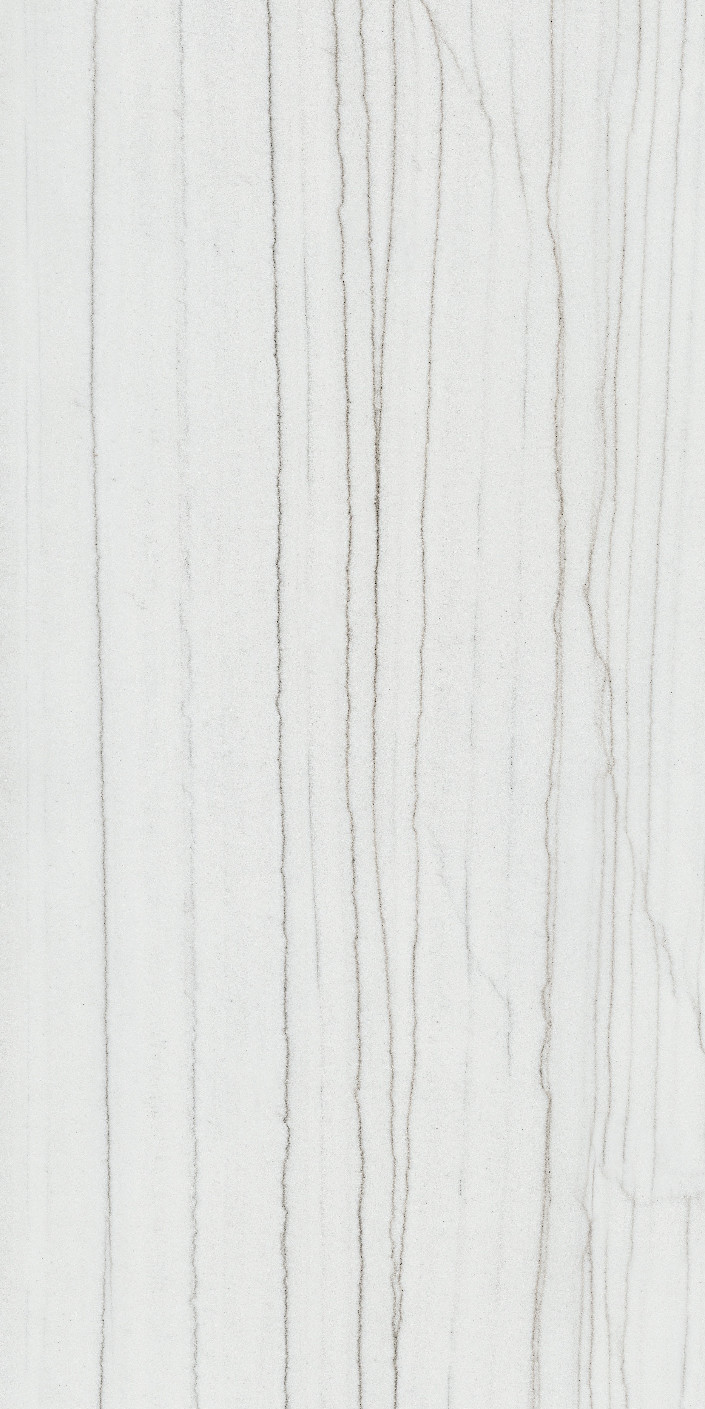 Majesto Bianco Stratura porcelain field tile by Anatolia, top-down product view, 24"×48"×11/32" size. Turkish porcelain for floors and walls.