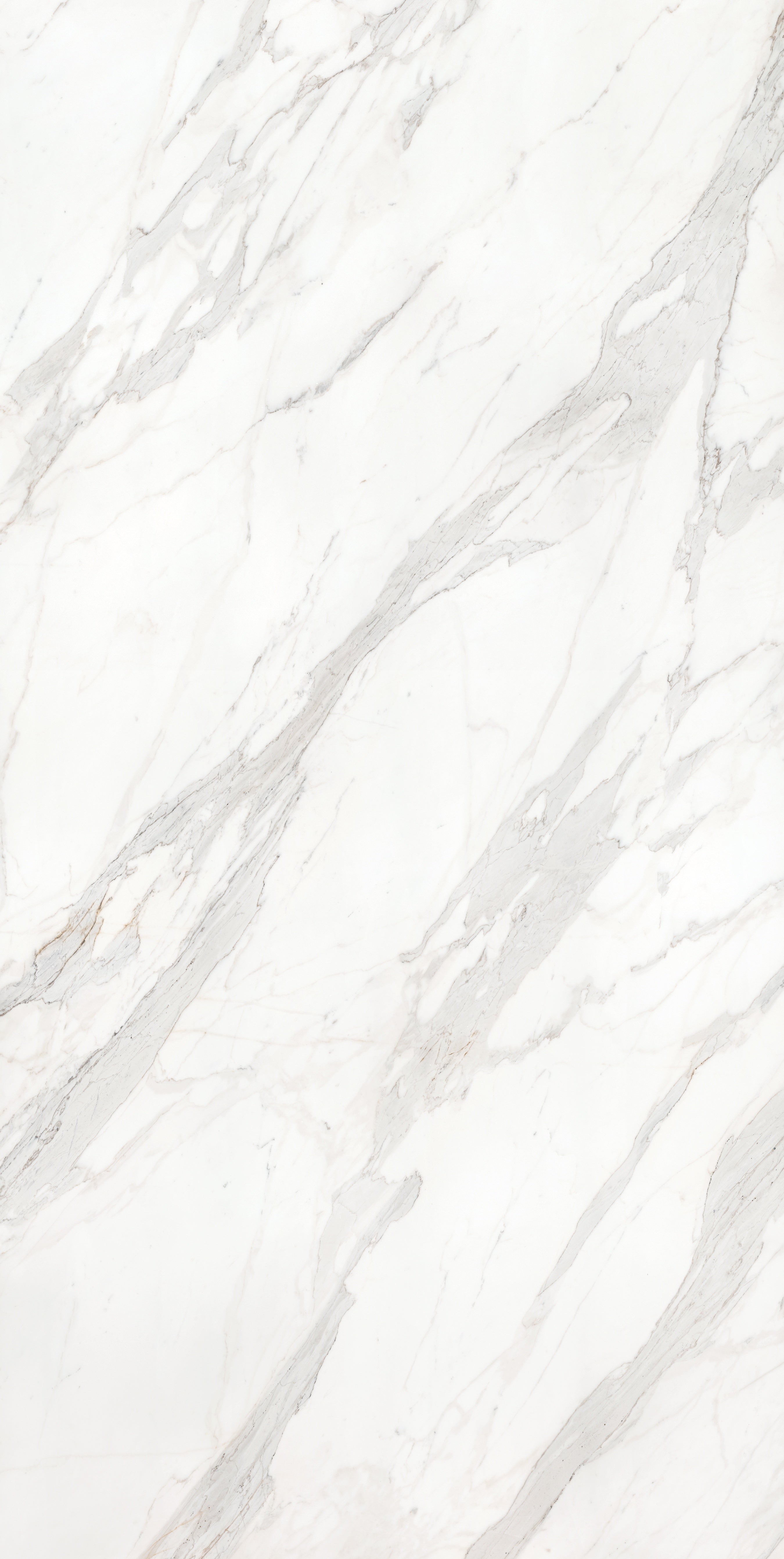 Majesto Calacatta Borghini sintered stone slabs by Anatolia, top-down product view, 63"×126"×1/4" size. Turkish sintered stone for floors and walls.