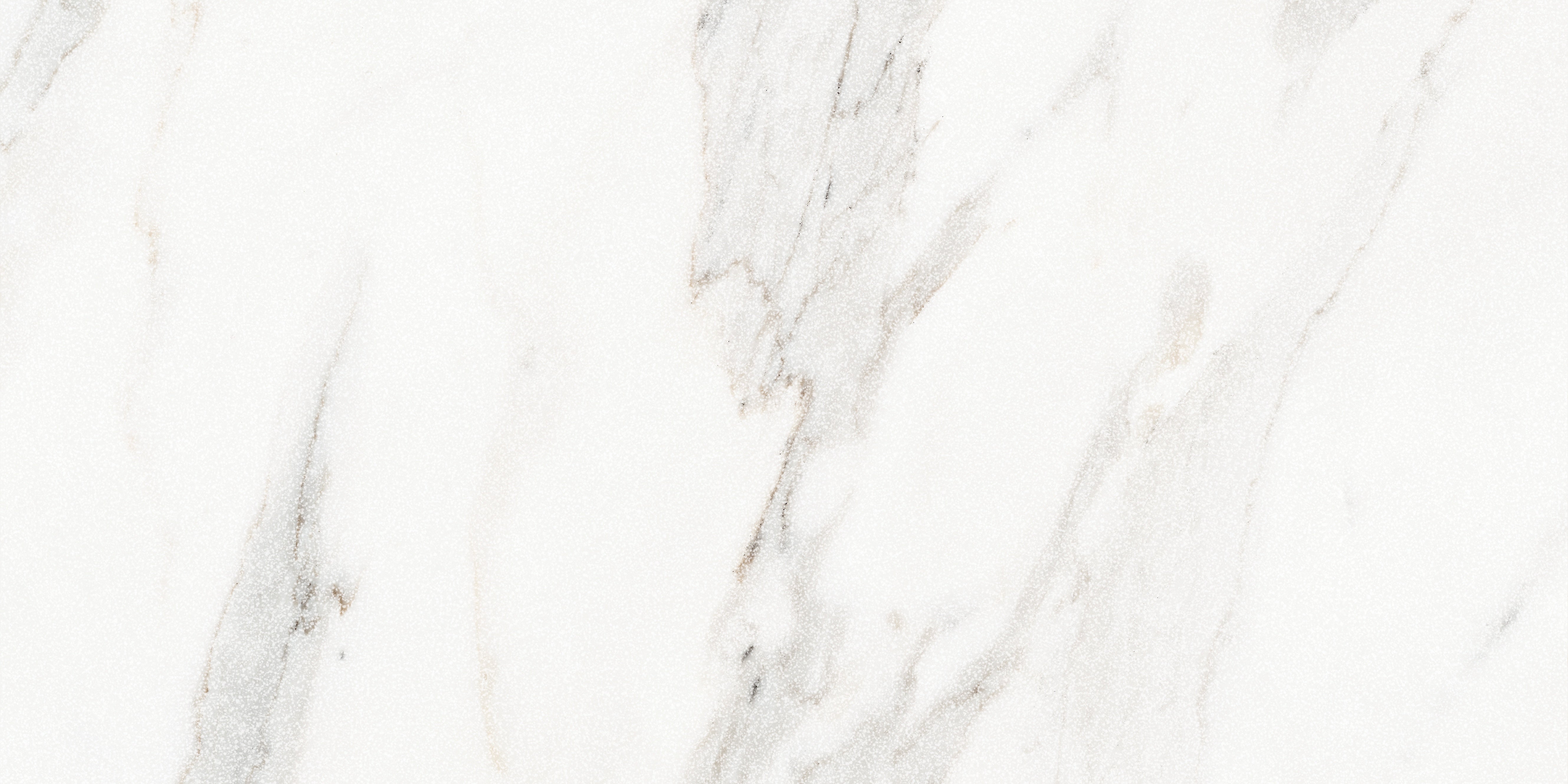 Majesto Calacatta Borghini porcelain field tile by Anatolia, top-down product view, 12"×24"×11/32" size. Turkish porcelain for floors and walls.