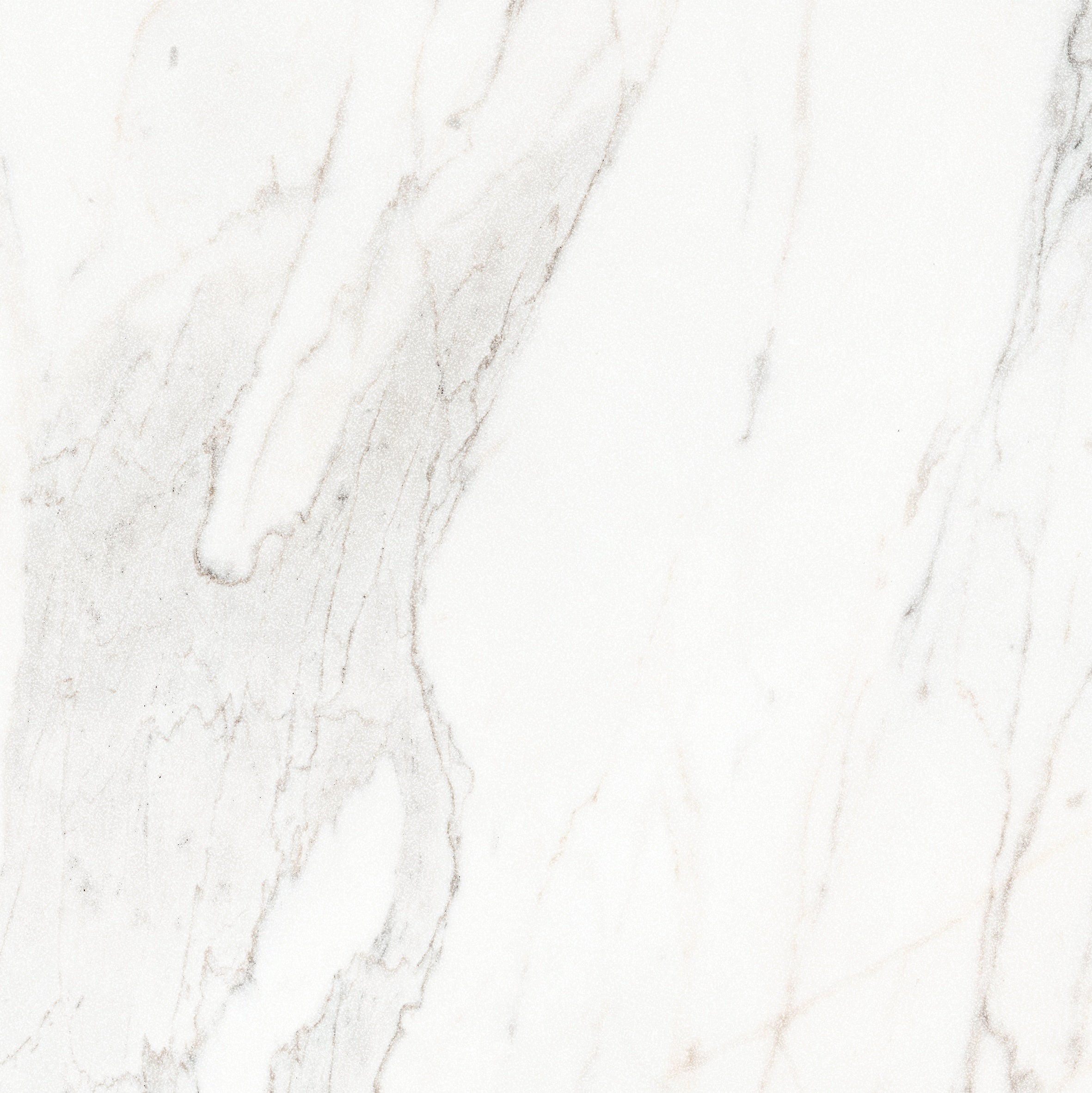 Majesto Calacatta Borghini porcelain field tile by Anatolia, top-down product view, 24"×11/32" size. Turkish porcelain for floors and walls.