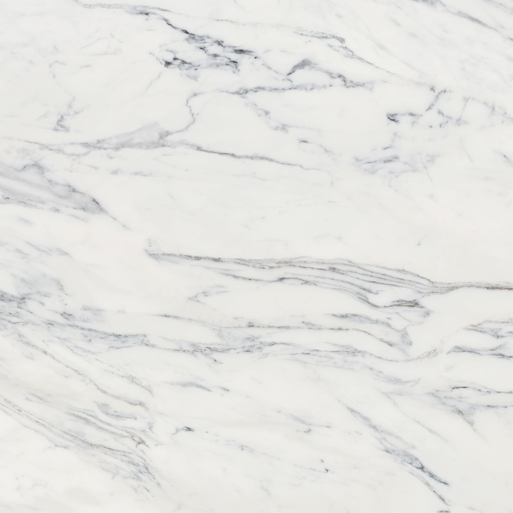 Majesto Calacatta Corchia porcelain field tile by Anatolia, top-down product view, 24"×11/32" size. Turkish porcelain for floors and walls.