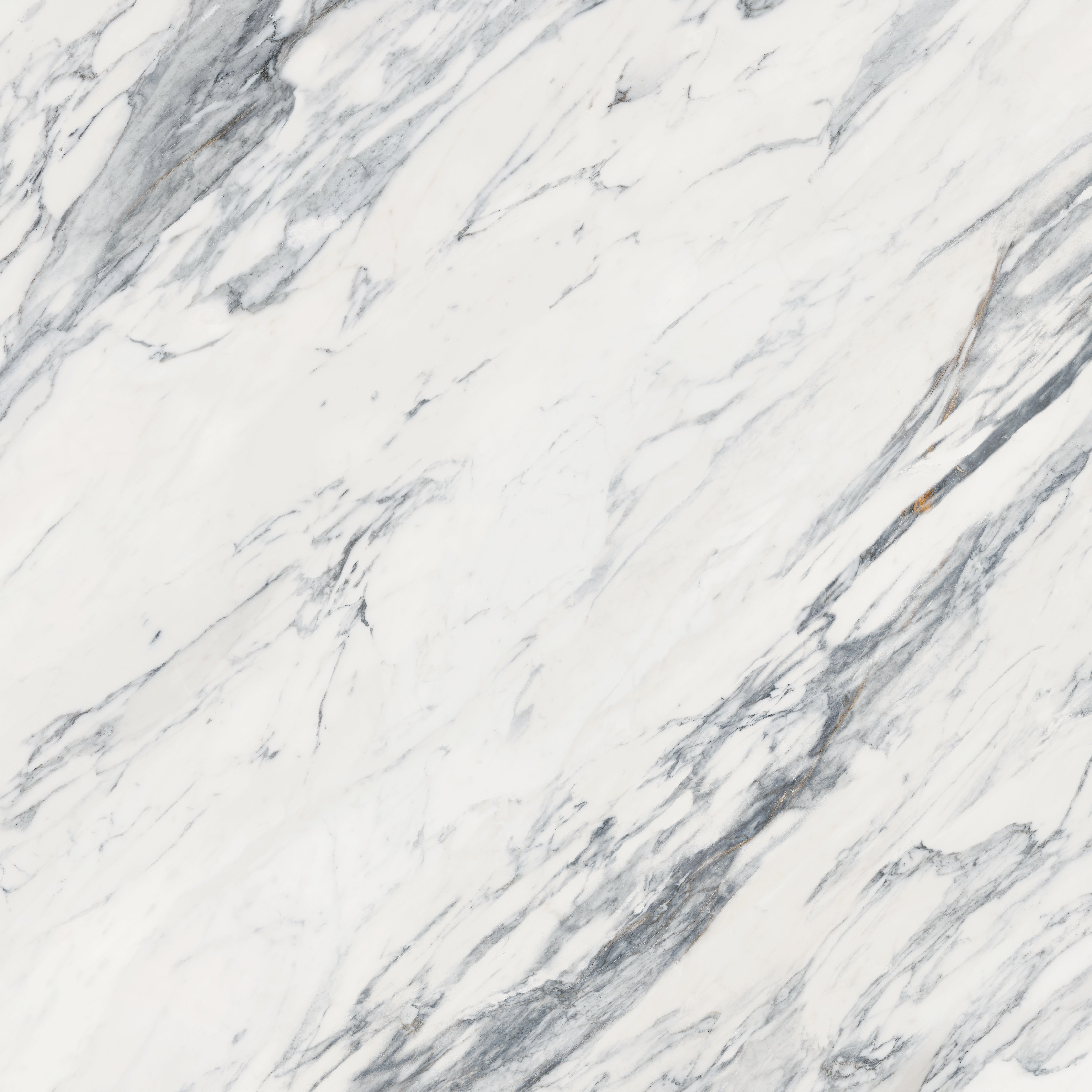 Majesto Calacatta Corchia porcelain field tile by Anatolia, top-down product view, 48"×11/32" size. Turkish porcelain for floors and walls.