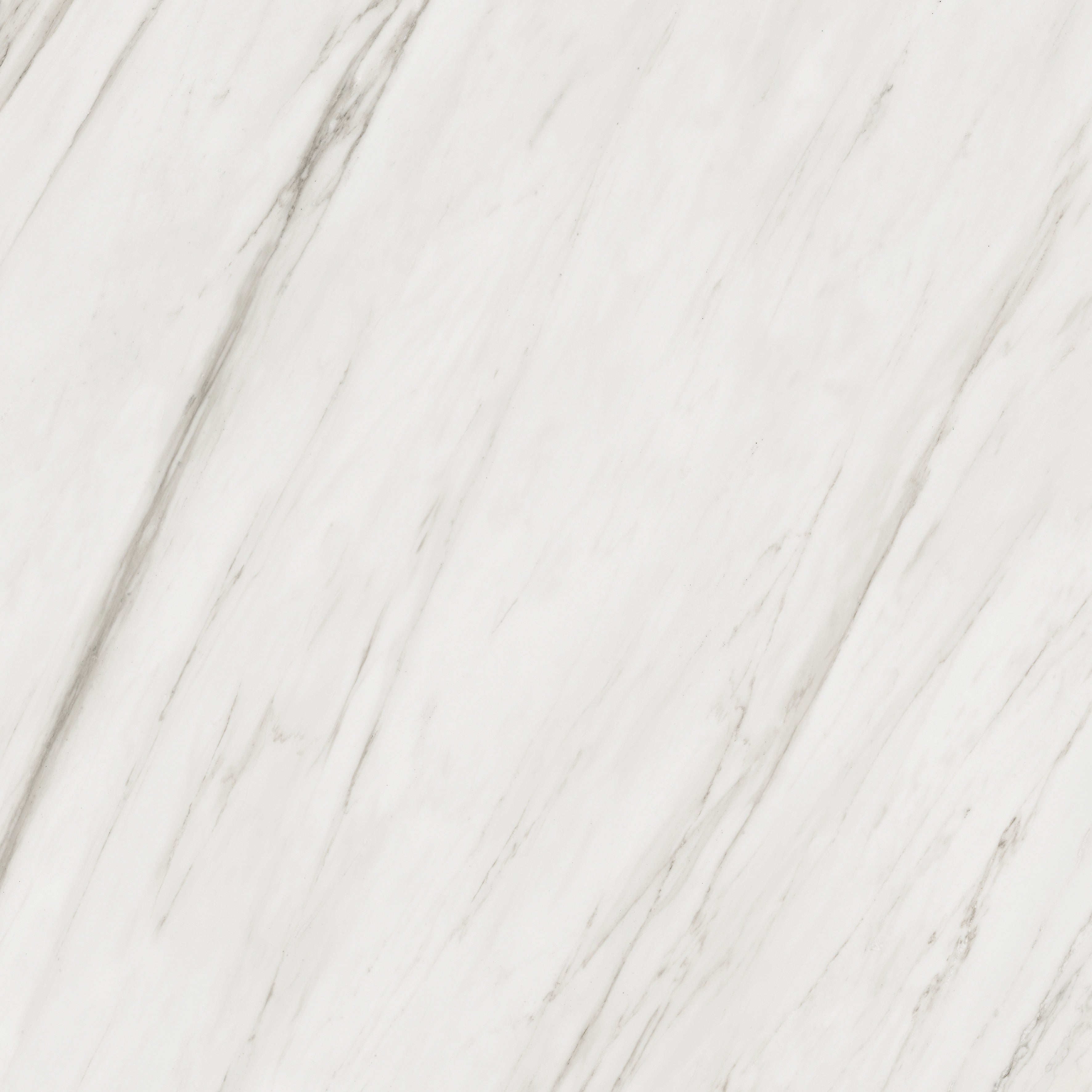 Majesto Calacatta Cremo porcelain field tile by Anatolia, top-down product view, 36"×11/32" size. Turkish porcelain for floors and walls.