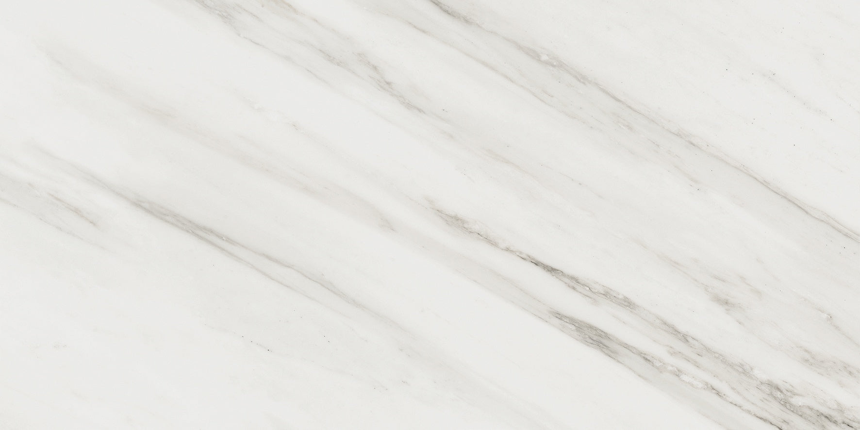 Majesto Calacatta Cremo porcelain field tile by Anatolia, top-down product view, 12"×24"×11/32" size. Turkish porcelain for floors and walls.