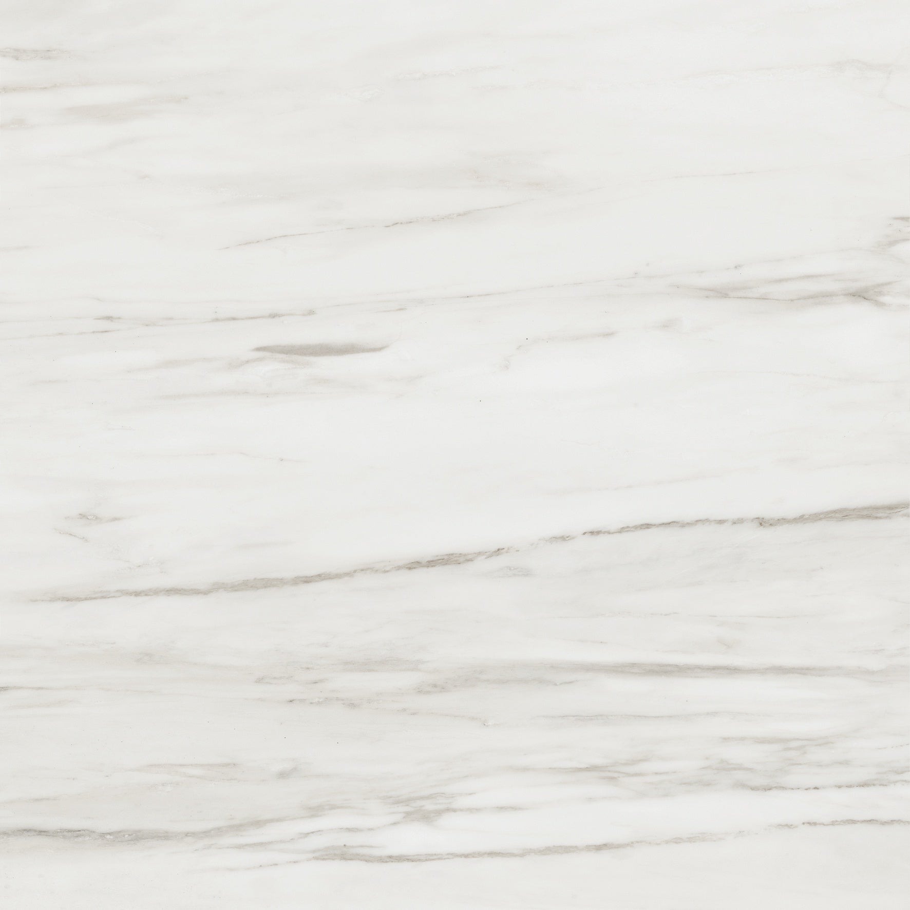 Majesto Calacatta Cremo porcelain field tile by Anatolia, top-down product view, 24"×11/32" size. Turkish porcelain for floors and walls.