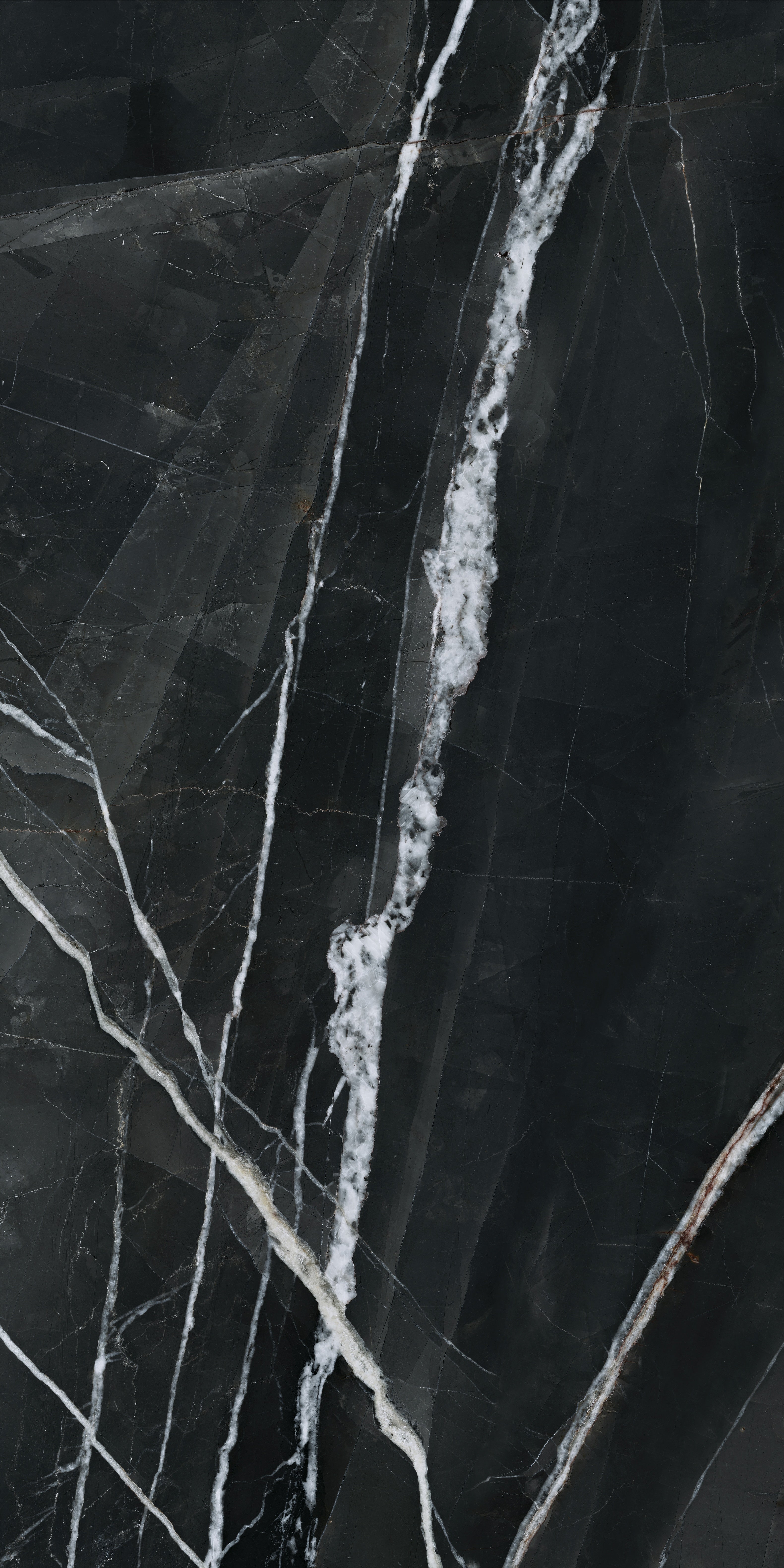 Majesto Calacatta Noir porcelain field tile by Anatolia, top-down product view, 24"×48"×11/32" size. Turkish porcelain for floors and walls.