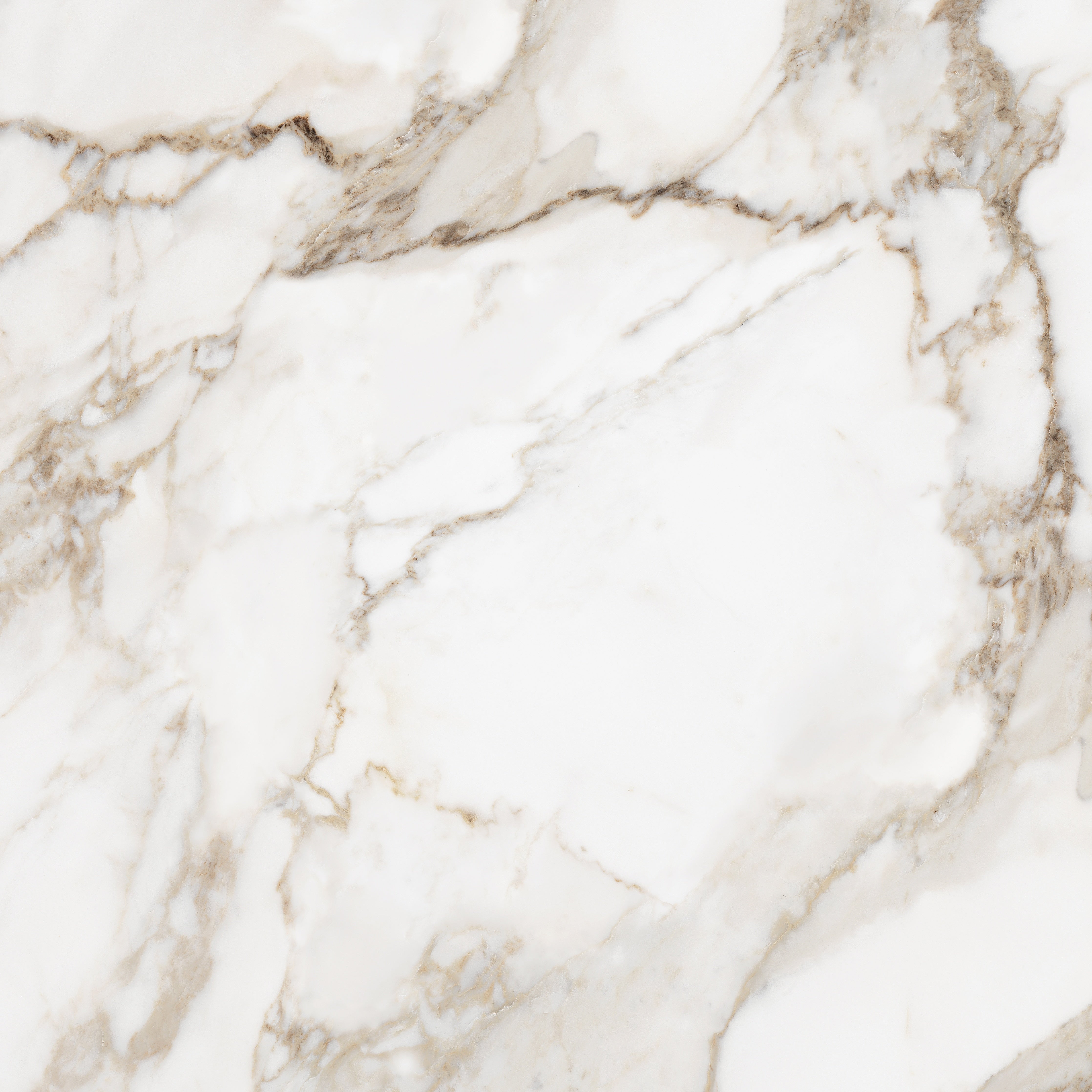 Majesto Calacatta Oro porcelain field tile by Anatolia, top-down product view, 36"×11/32" size. Turkish porcelain for floors and walls.