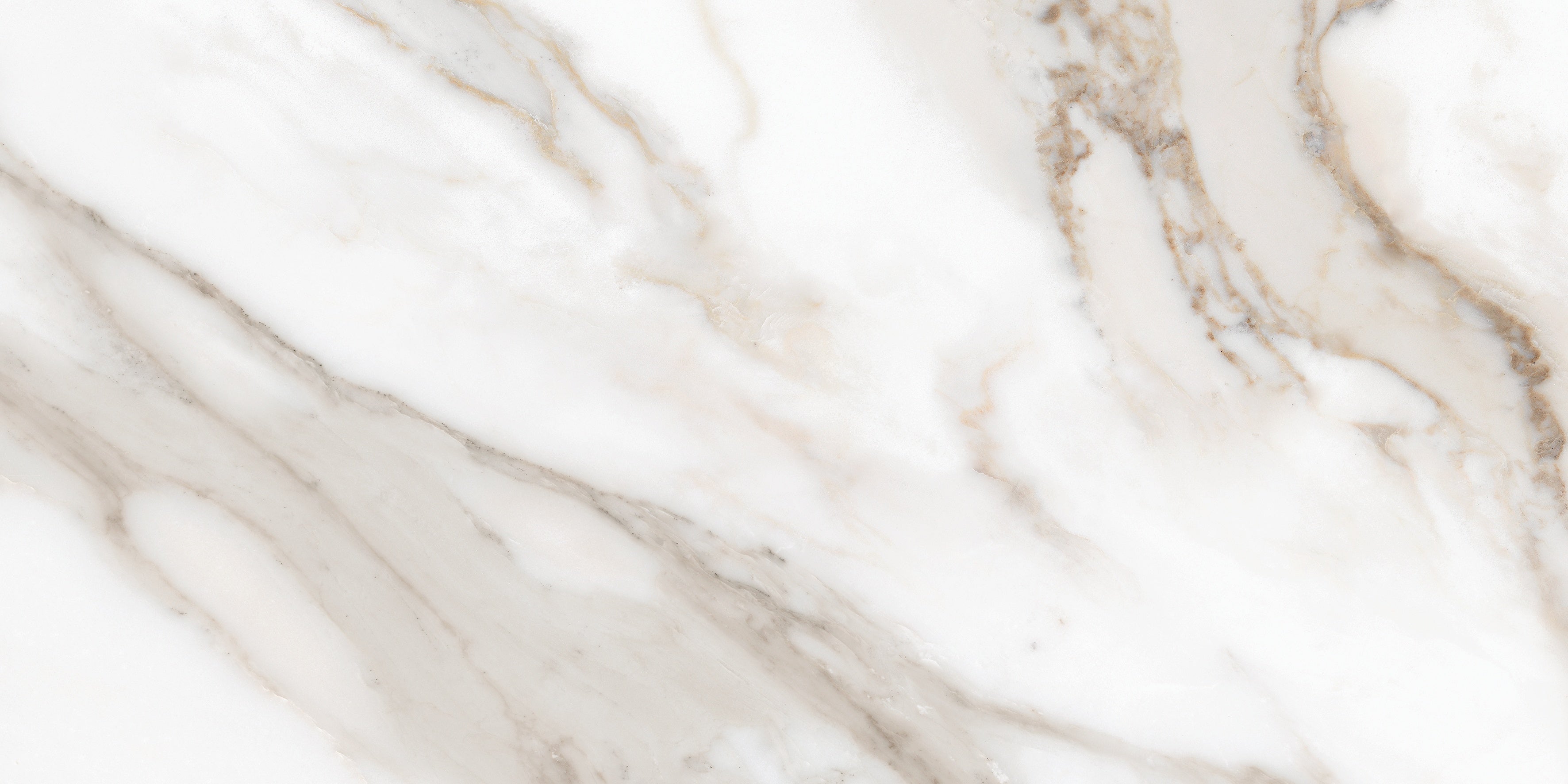 Majesto Calacatta Oro porcelain field tile by Anatolia, top-down product view, 12"×24"×11/32" size. Turkish porcelain for floors and walls.