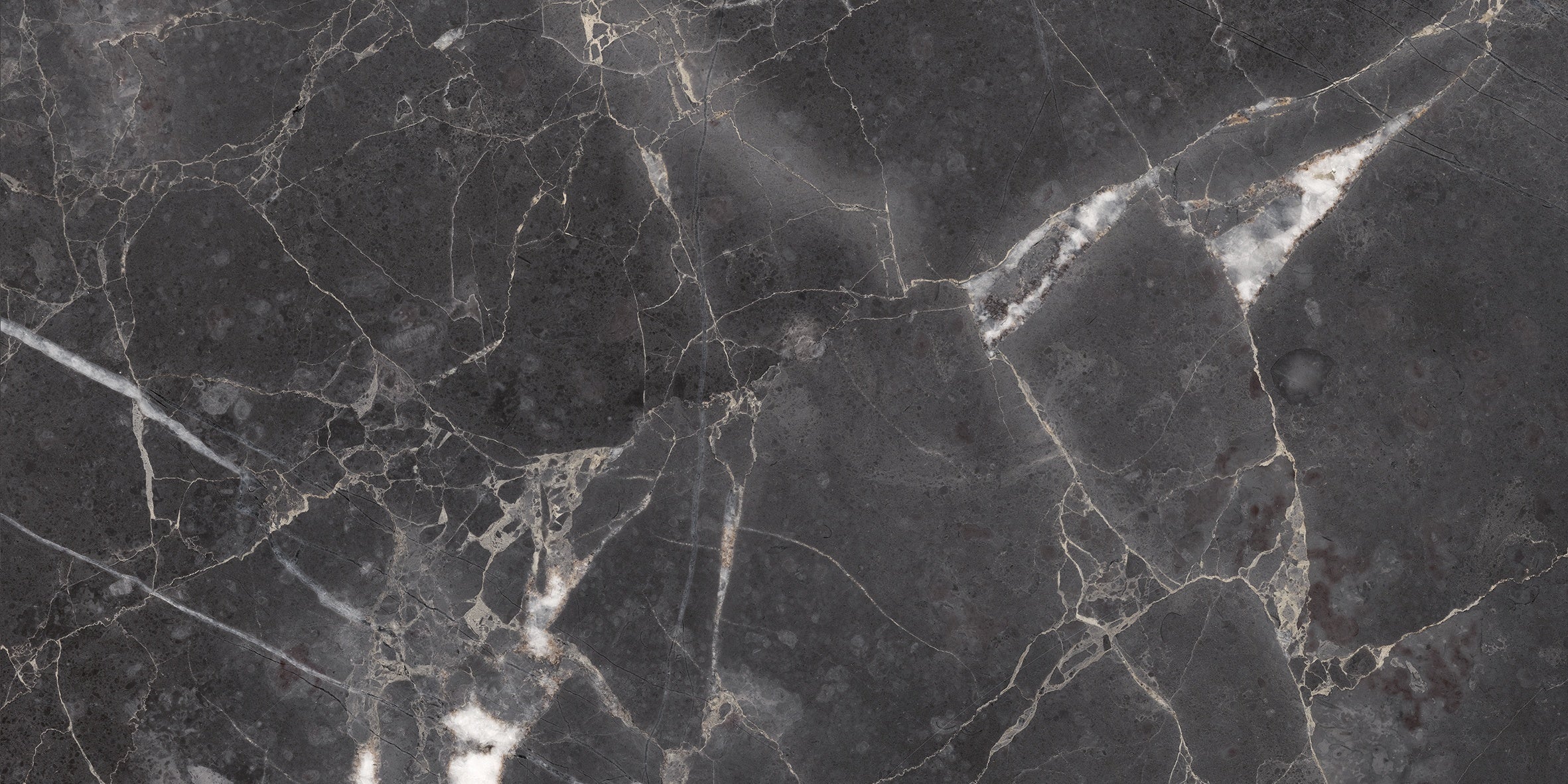 Majesto Forge Eleganza porcelain field tile by Anatolia, top-down product view, 12"×24"×11/32" size. Turkish porcelain for floors and walls.