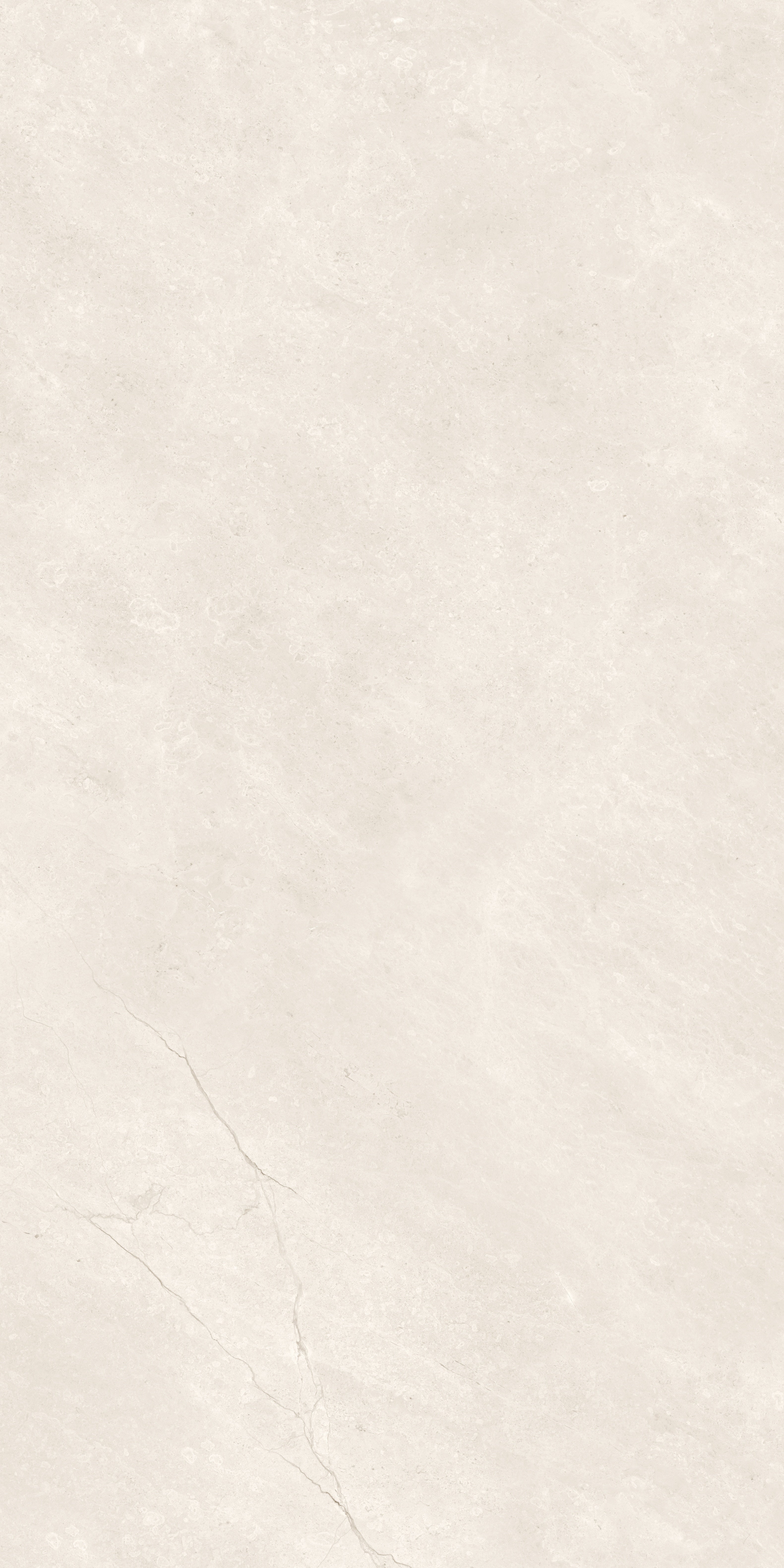 MAJESTO: French Vanilla Porcelain Field Tile (24"×48"×11/32" | Polished | Rectified)