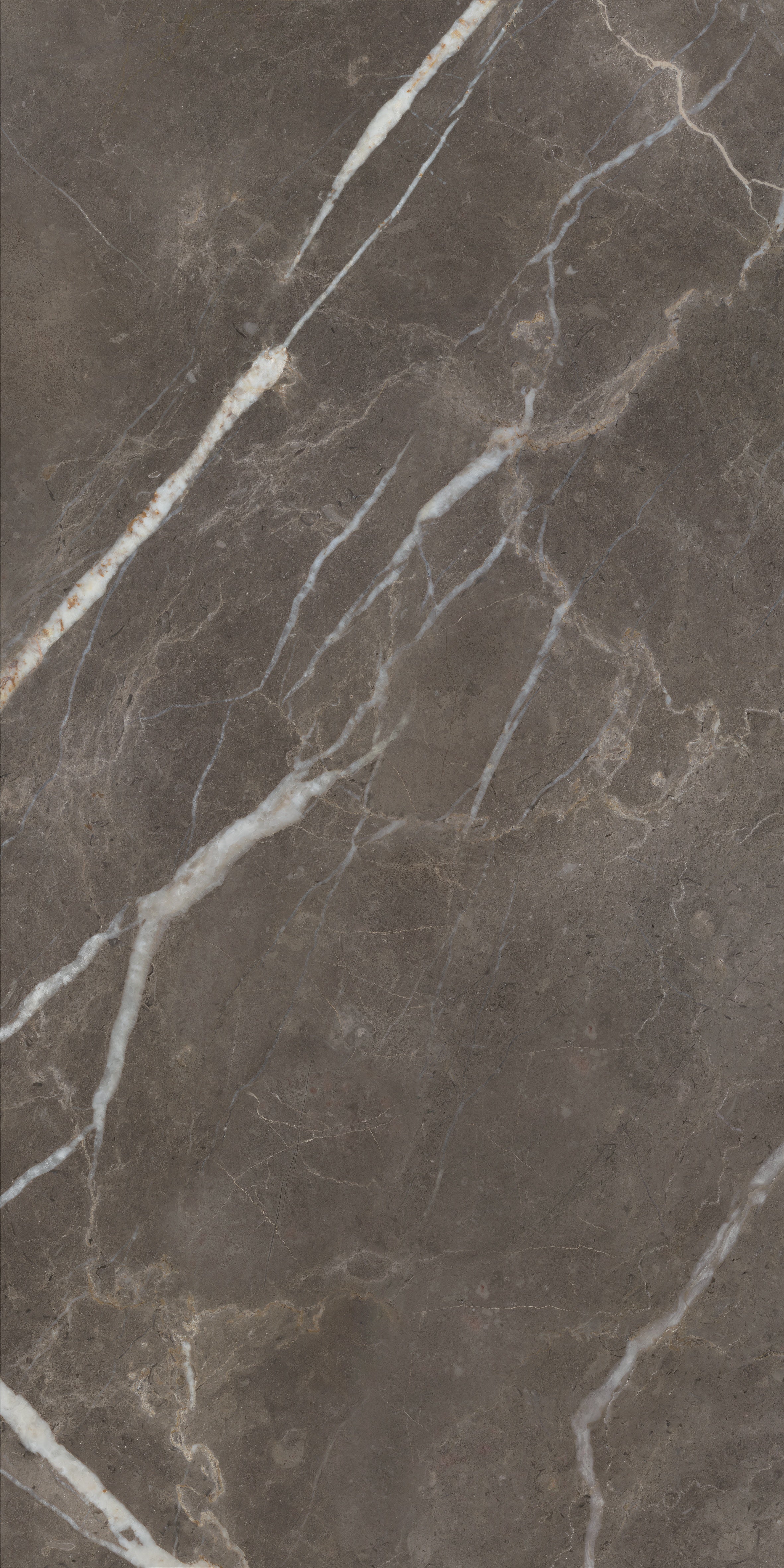 Majesto Pietra Imperiale porcelain field tile by Anatolia, top-down product view, 24"×48"×11/32" size. Turkish porcelain for floors and walls.