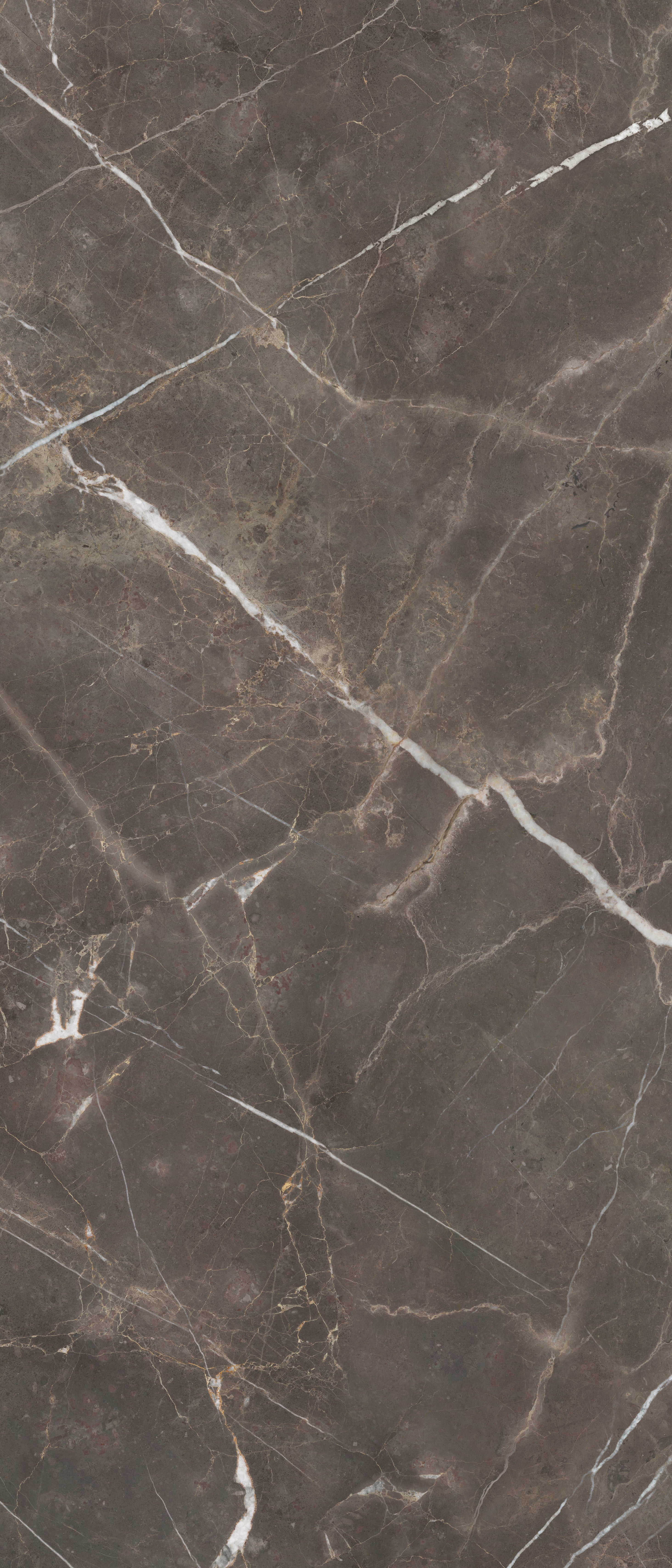MAJESTO: Pietra Imperiale Paver Porcelain Field Tile (24"×48"×25/32" | Vintage | Rectified)