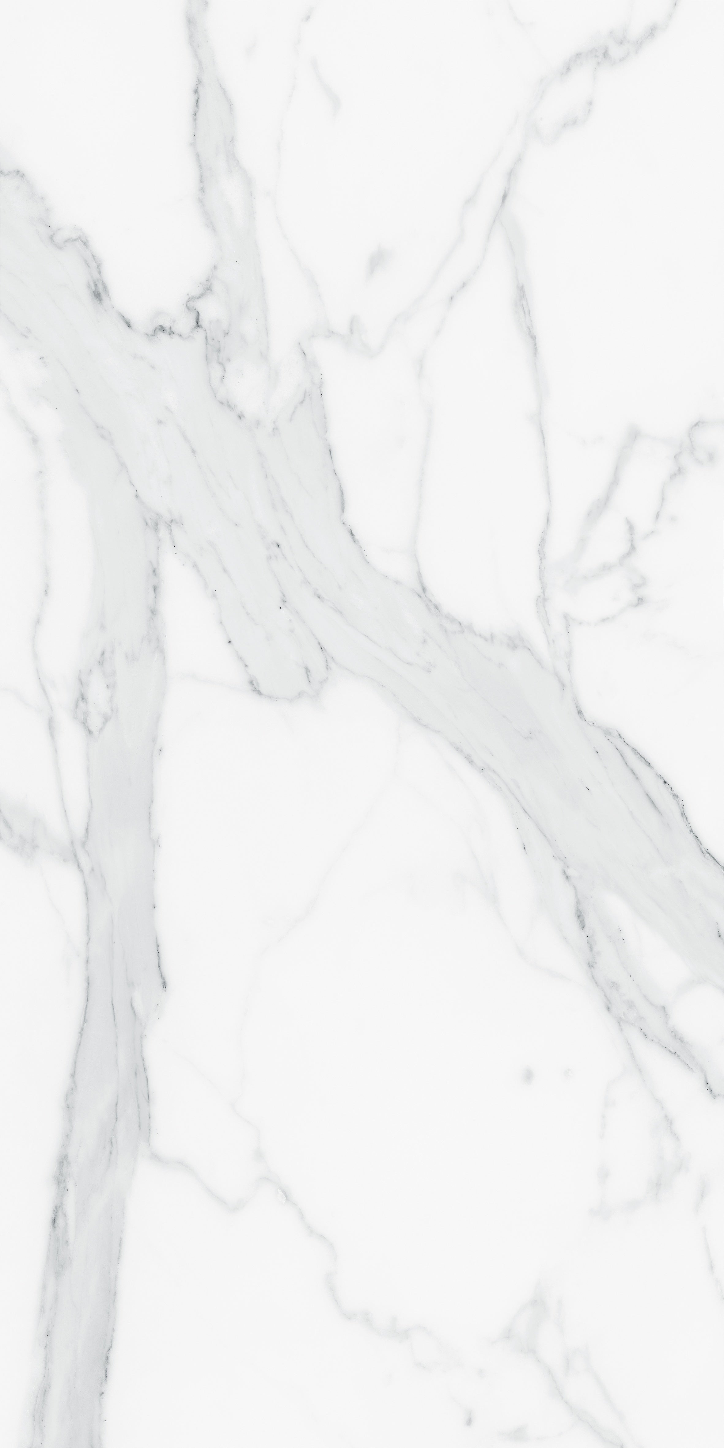 Majesto Statuario porcelain field tile by Anatolia, top-down product view, 24"×48"×11/32" size. Turkish porcelain for floors and walls.