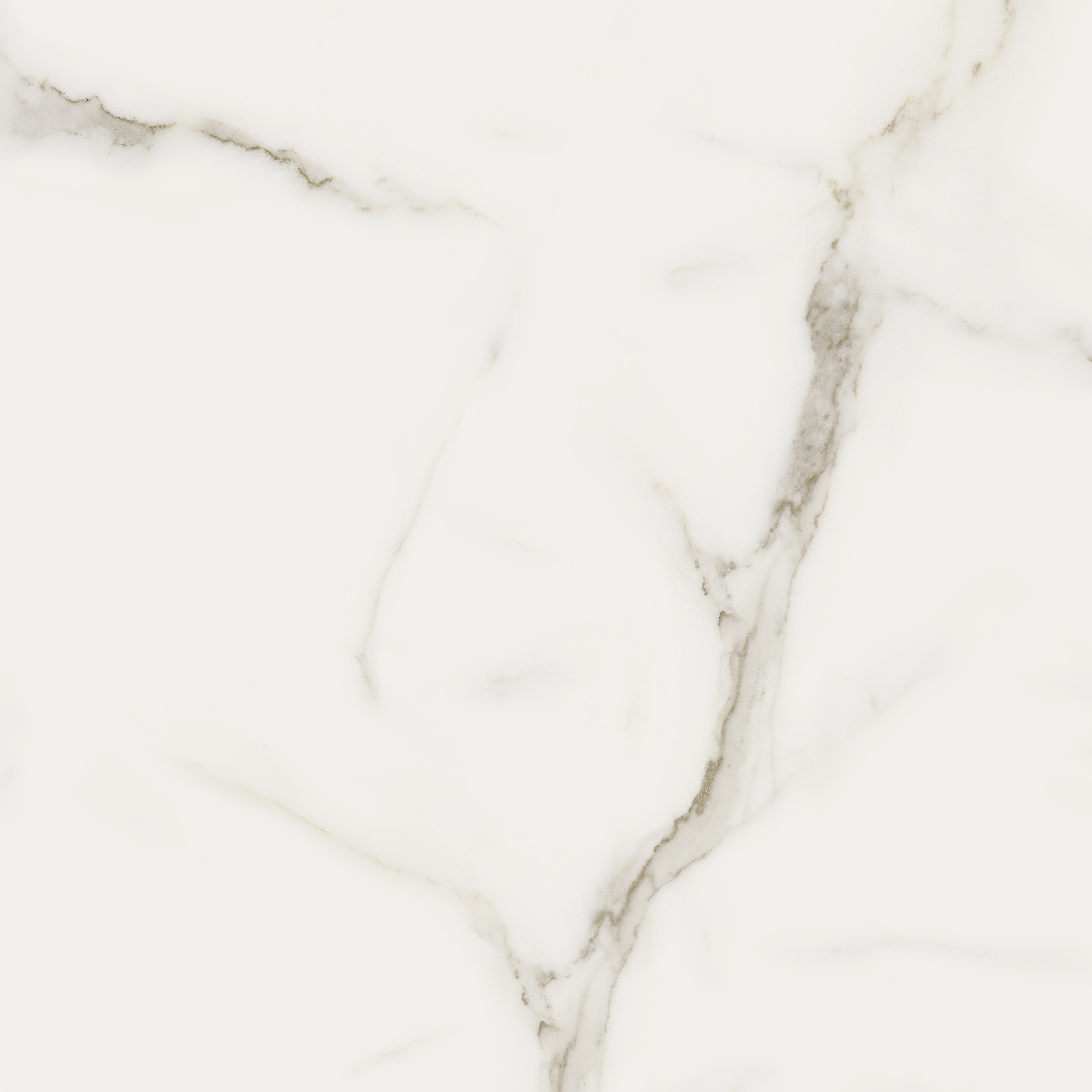 Mayfair Calacatta Oro porcelain field tile by Anatolia, top-down product view, 24"×11/32" size. Indian porcelain for floors and walls.