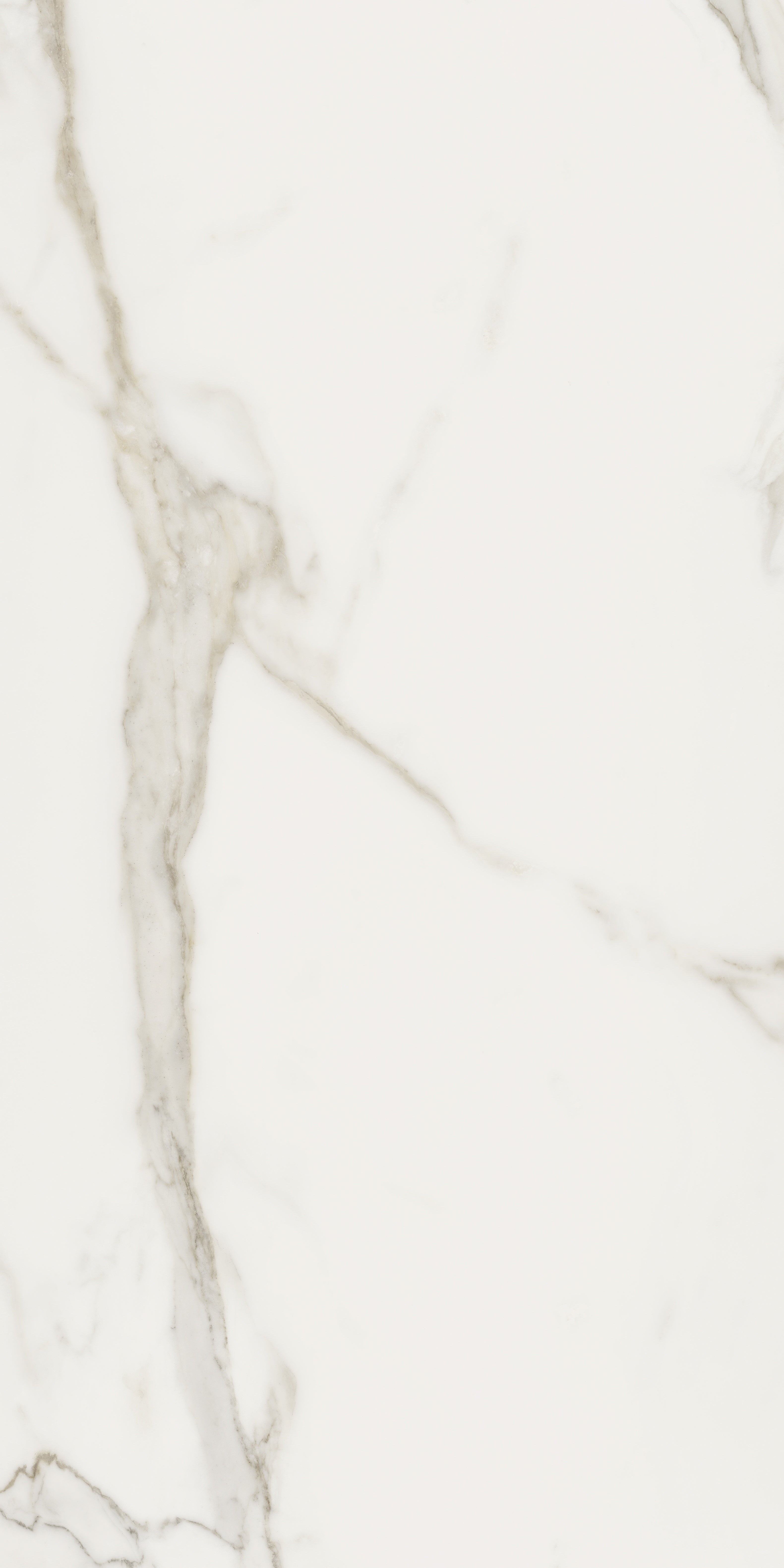Mayfair Calacatta Oro porcelain field tile by Anatolia, top-down product view, 24"×48"×11/32" size. Indian porcelain for floors and walls.