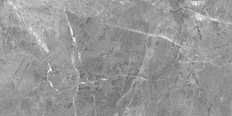 Regency Carbon porcelain field tile by Anatolia, top-down product view, 12"×24"×11/32" size. Turkish porcelain for floors and walls.