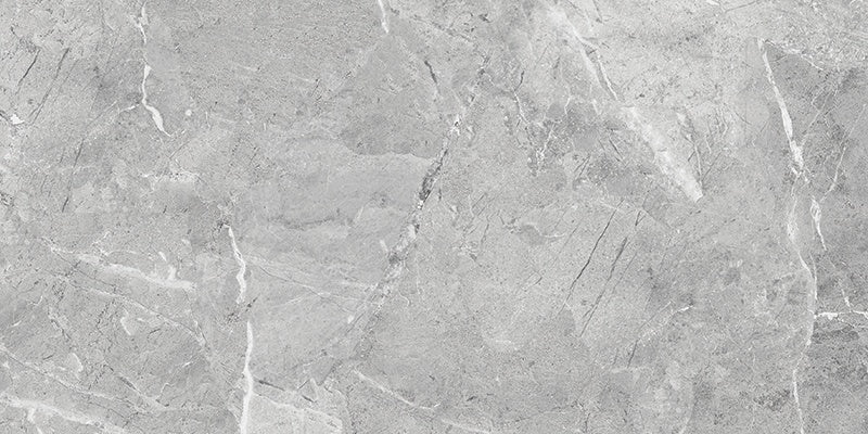 Regency Mica porcelain field tile by Anatolia, top-down product view, 12"×24"×11/32" size. Turkish porcelain for floors and walls.