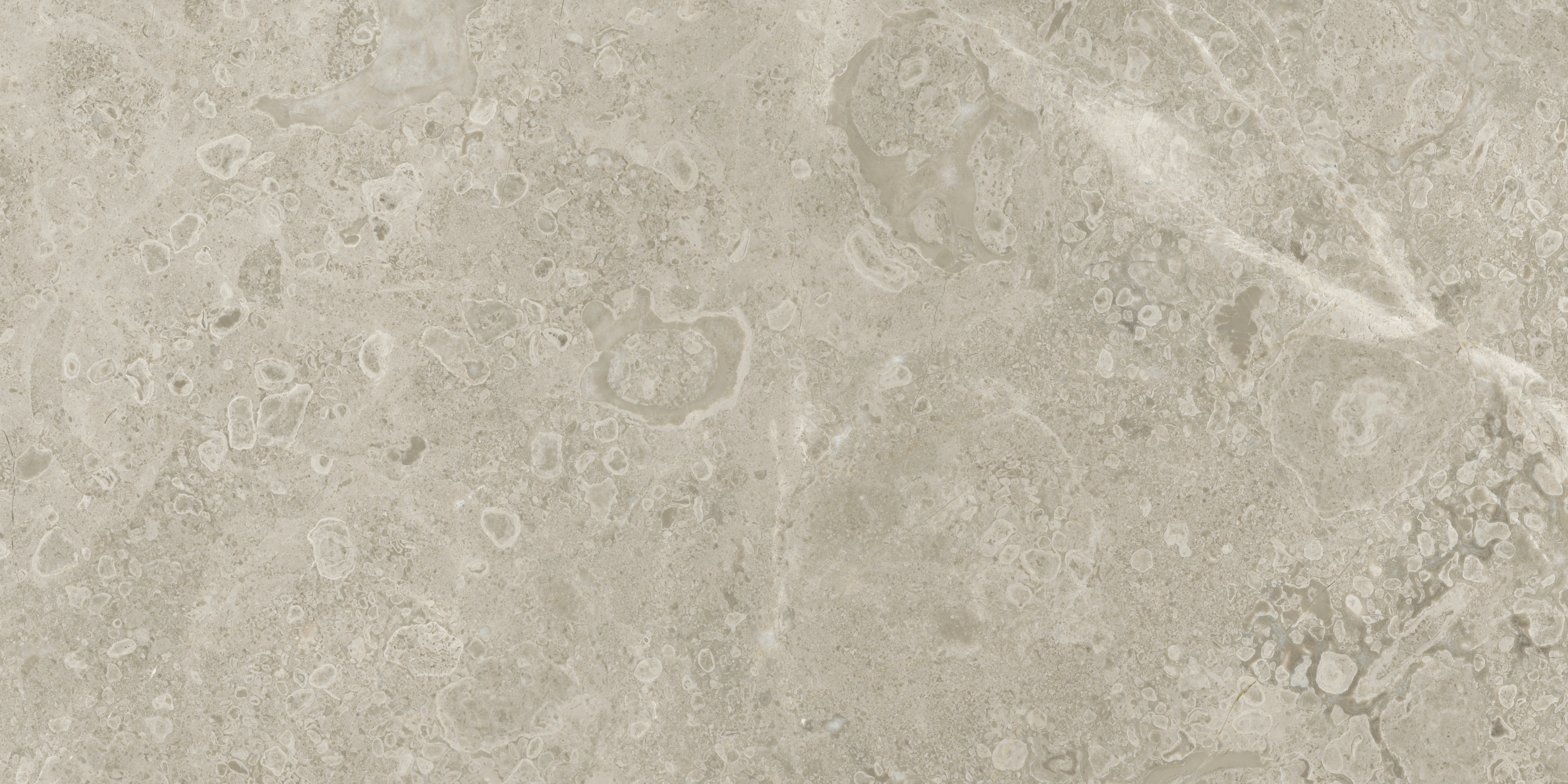 Ritz Gray marble field tile by Anatolia, top-down product view, 12"×24"×15/32" size. Turkish marble for floors and walls.