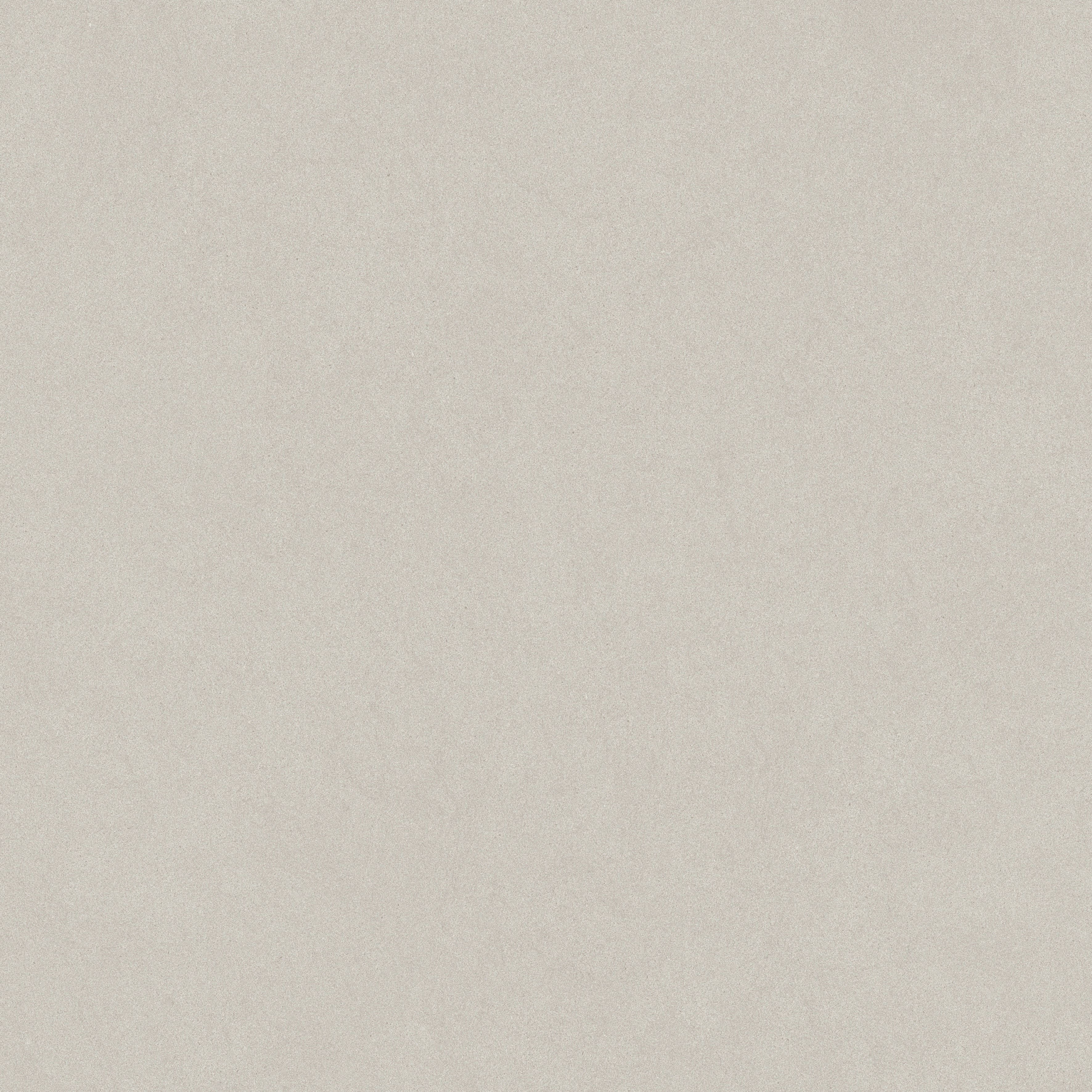 SERENA: Crater Paver Porcelain Field Tile (24"×48"×25/32" | Vintage | Rectified)