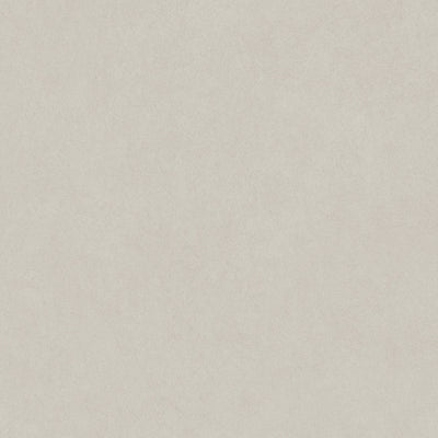Beige Large Format Porcelain tile and surface collection