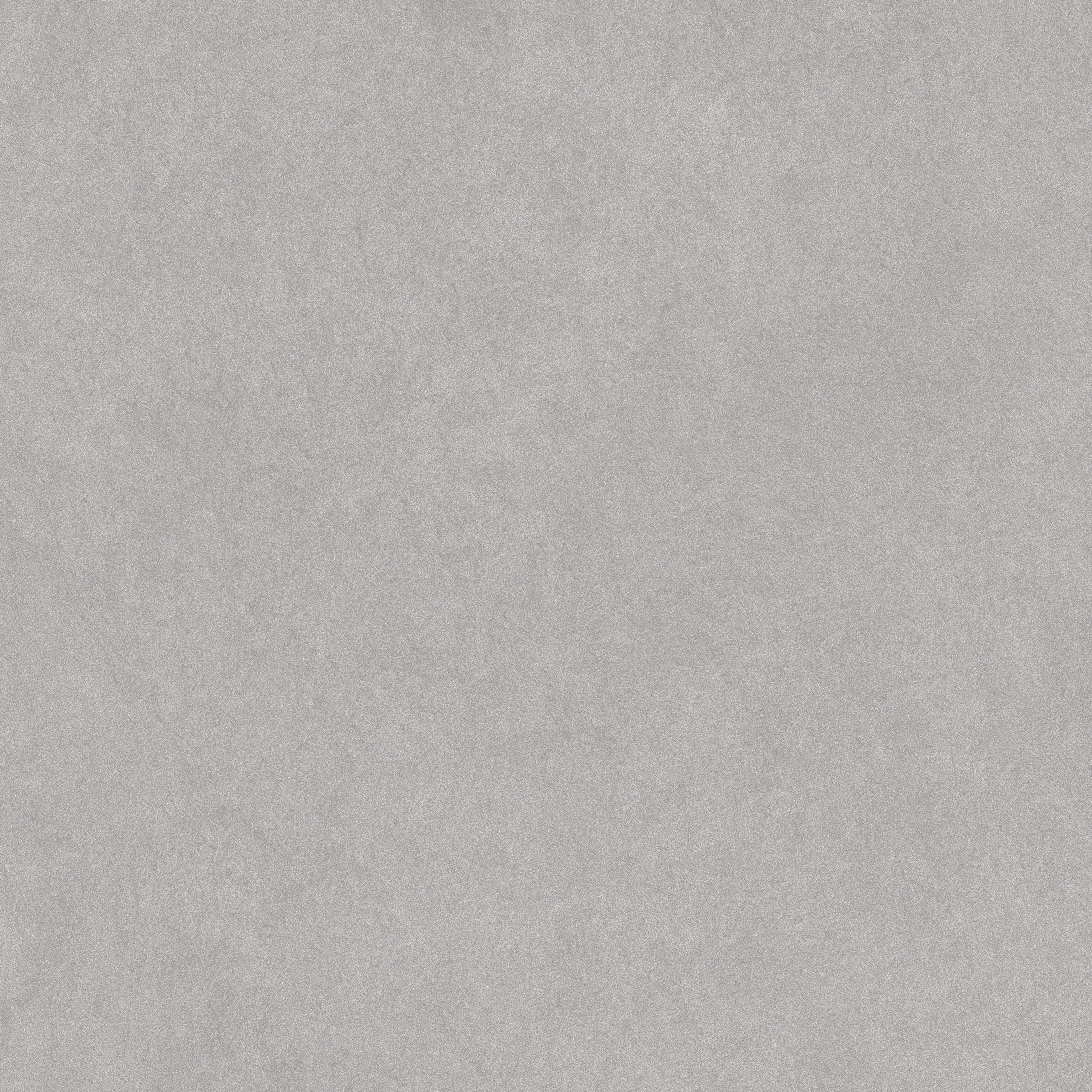 SERENA: Shale Paver Porcelain Field Tile (24"×48"×25/32" | Vintage | Rectified)