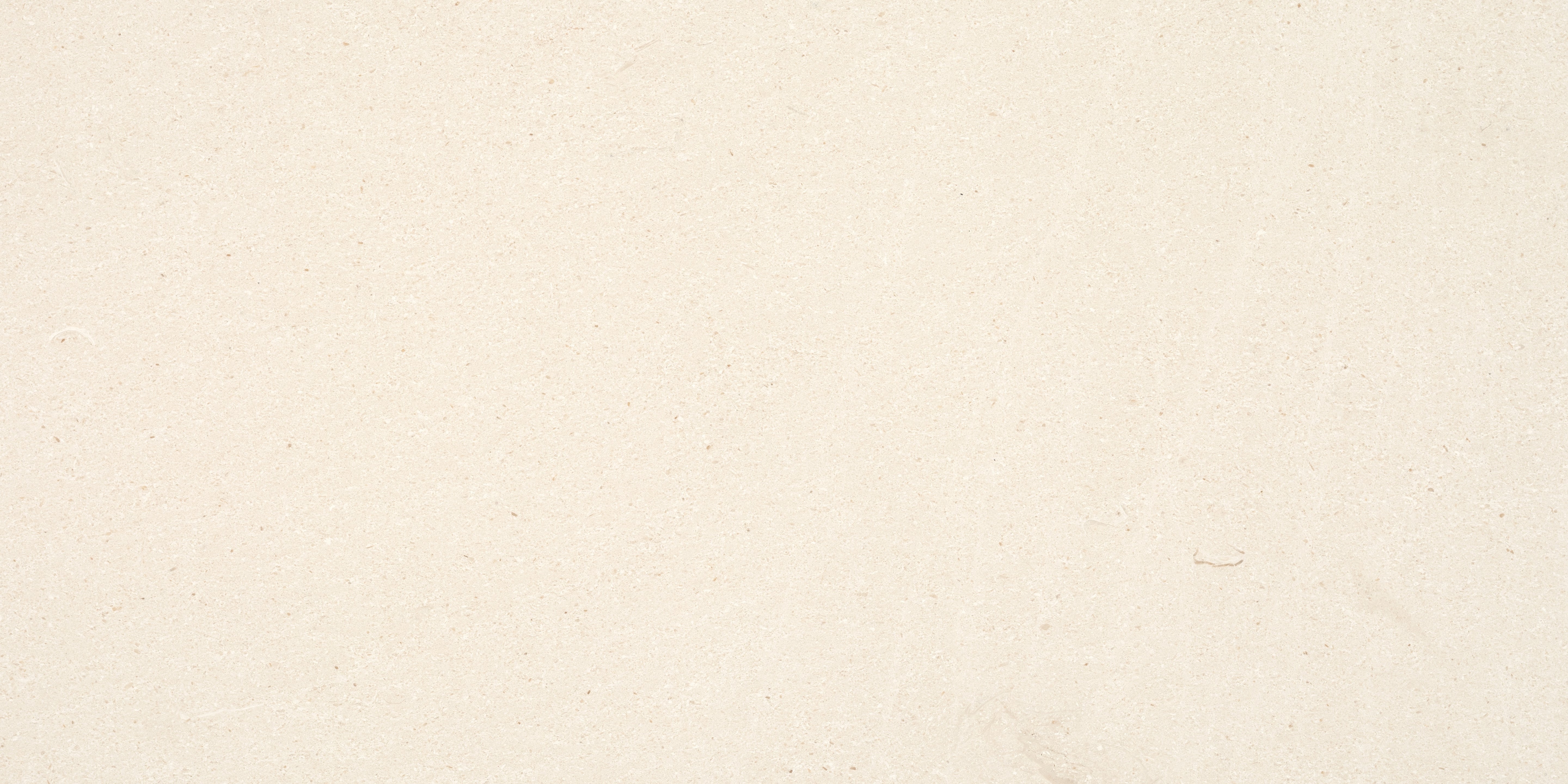 Serene Ivory limestone field tile by Anatolia, top-down product view, 12"×24"×15/32" size. Turkish limestone for floors and walls.